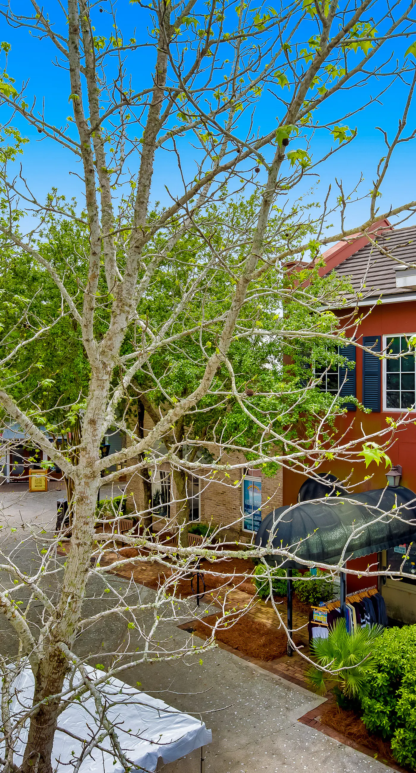 Beautiful condo with shared pool & hot tub, private W&D - near the beach