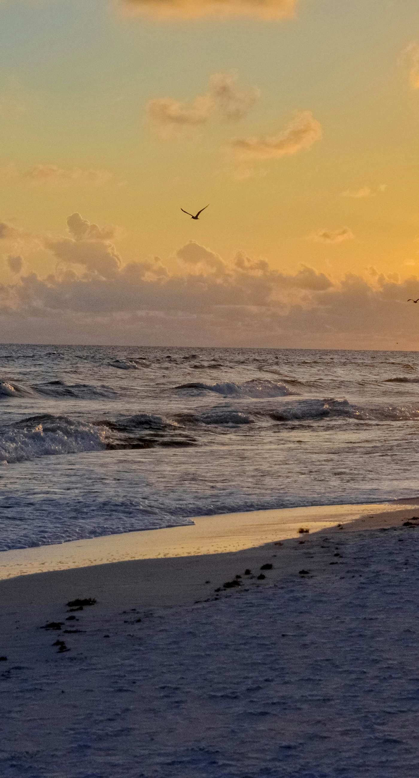 Pleasant studio at The Baytowne Wharf w/ shared pool, hot tub, shopping, & events