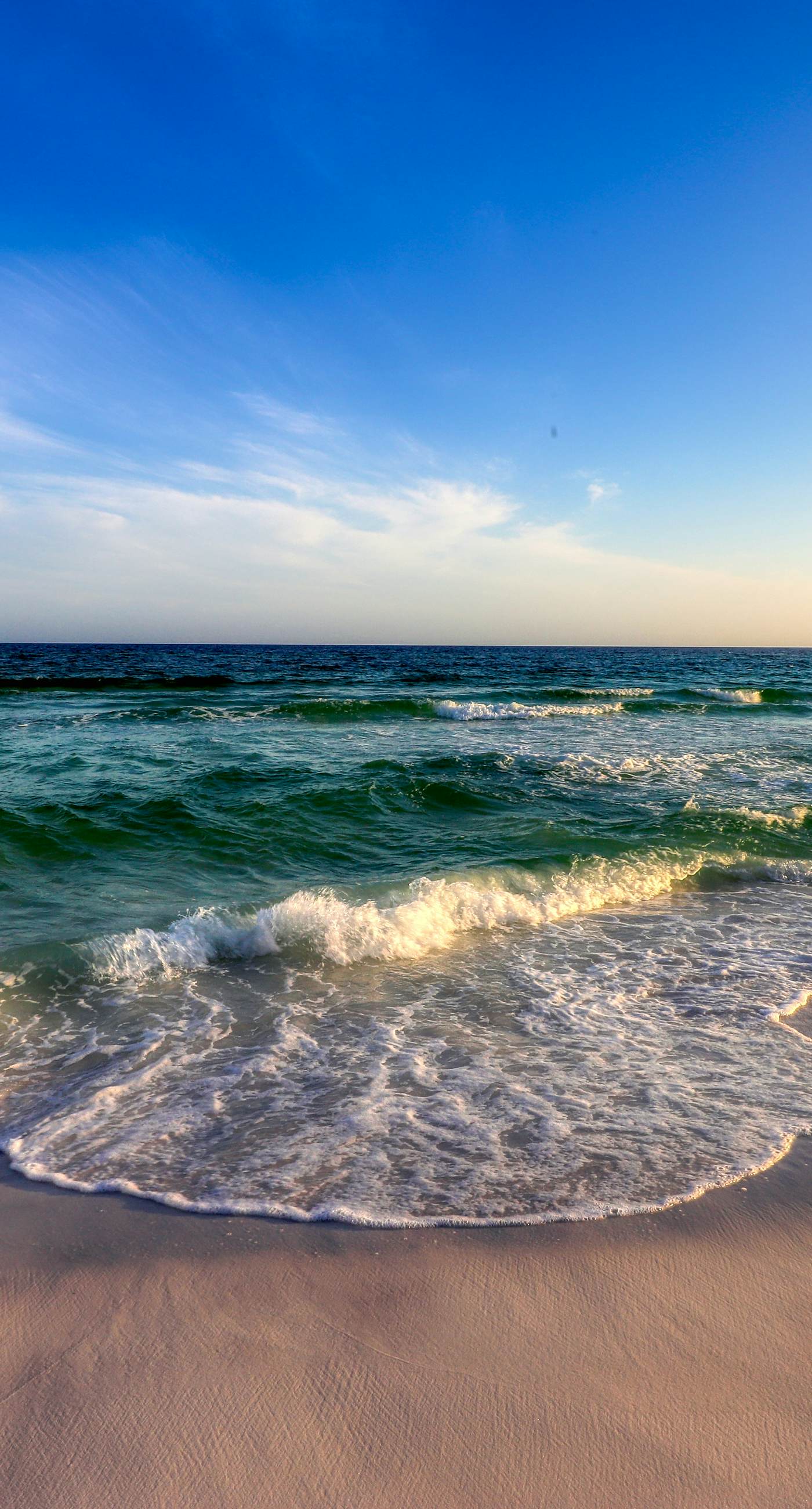 Dog-friendly coastal haven with premium beach perks & resort indulgence