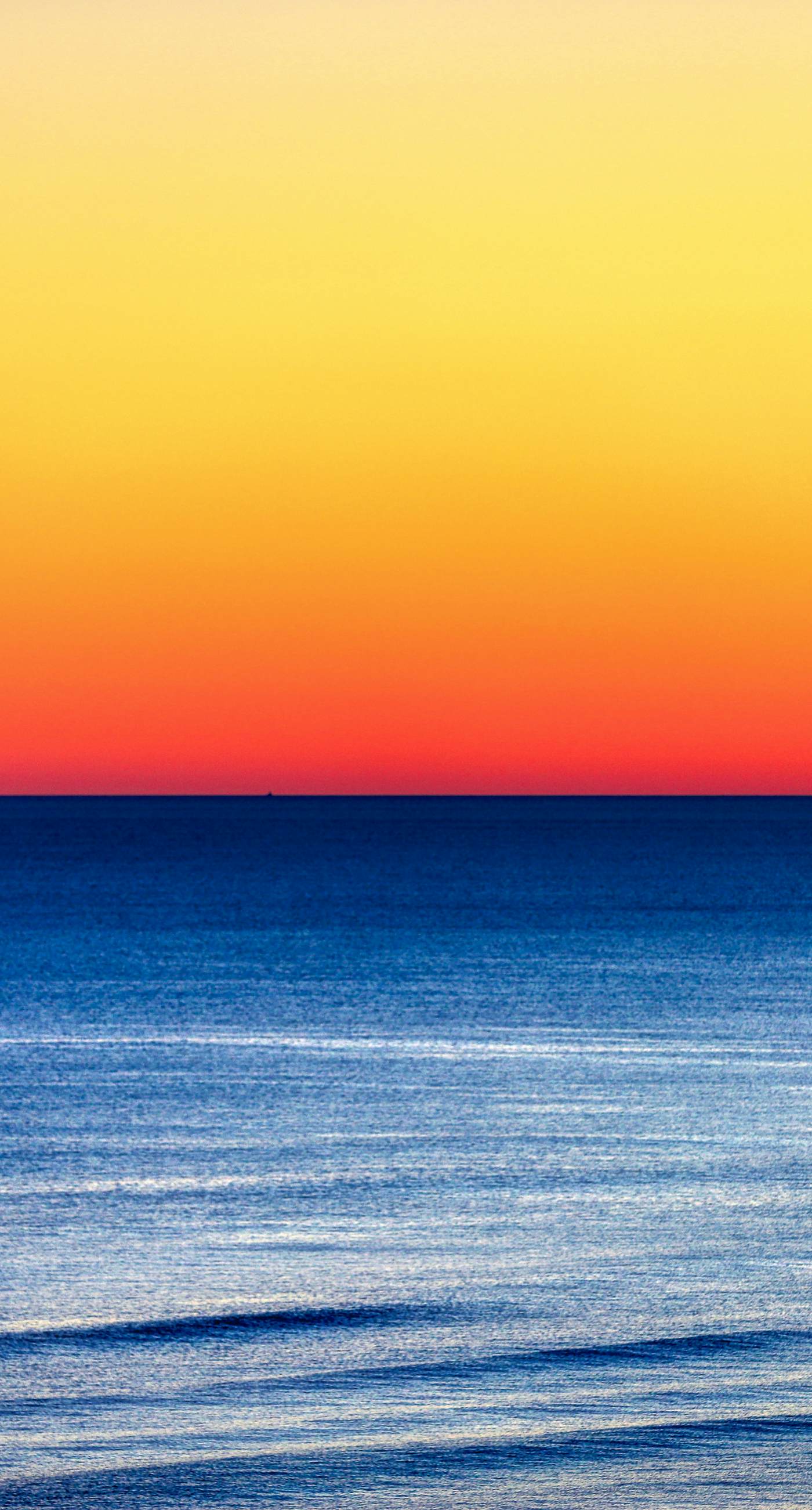 Dog-friendly coastal haven with premium beach perks & resort indulgence