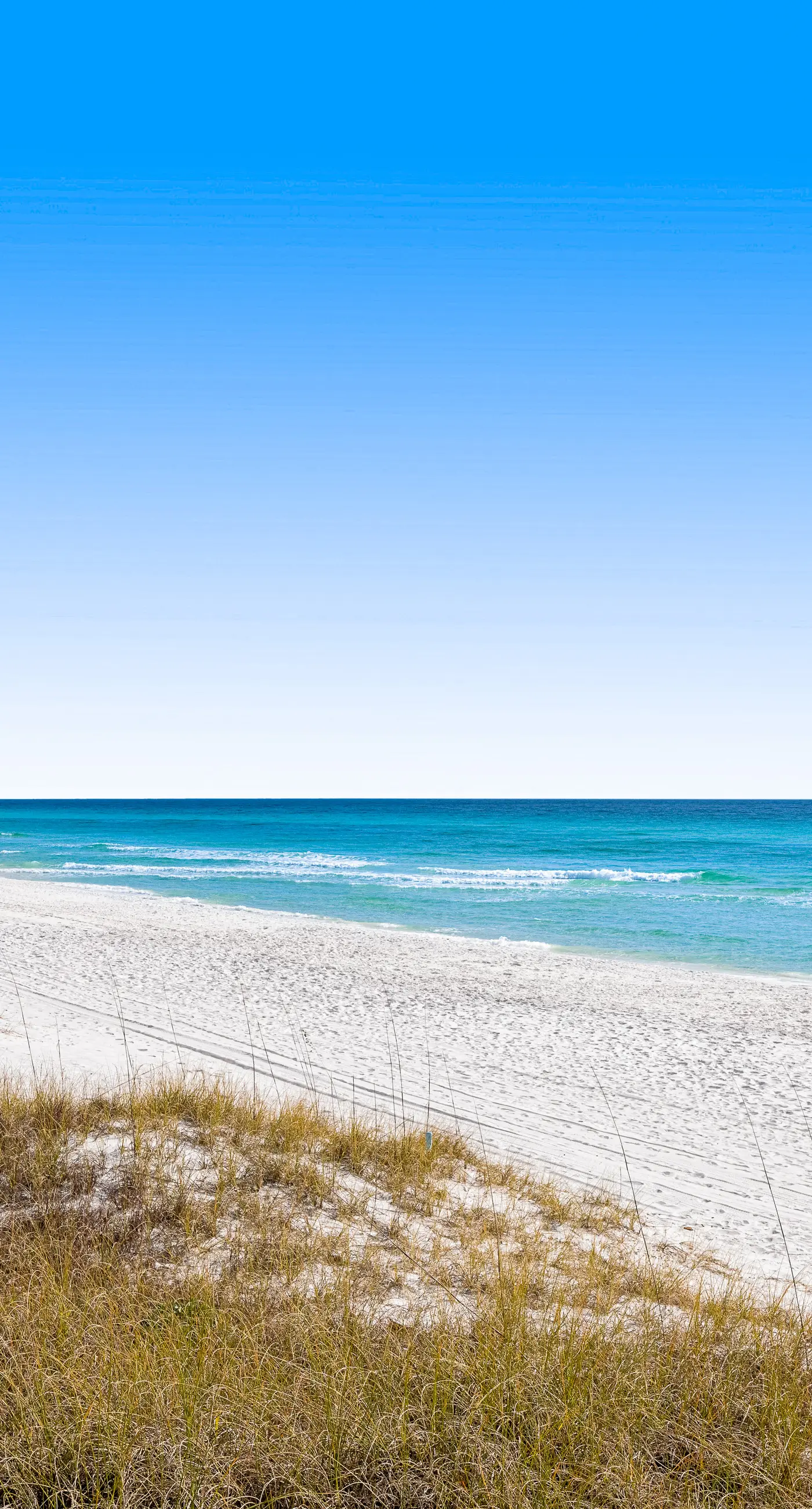 Spacious & sun-filled  retreat with pool, patio, & W/D - short walk to the beach