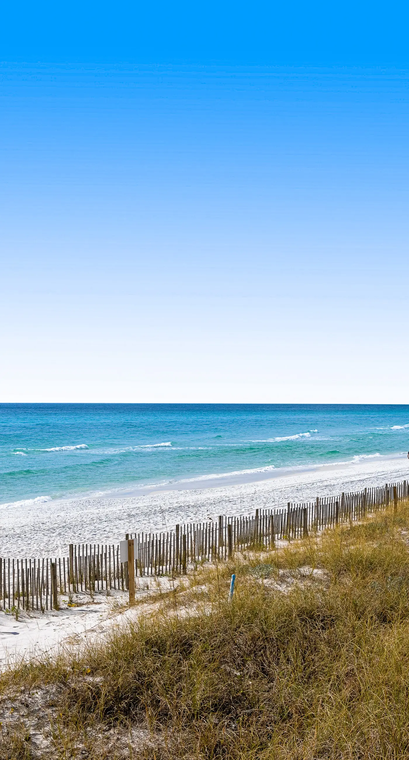 Spacious & sun-filled  retreat with pool, patio, & W/D - short walk to the beach