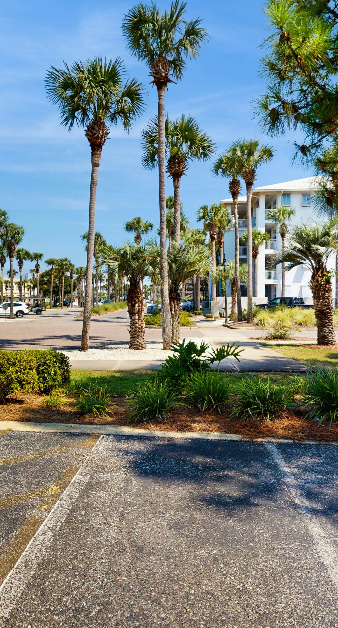 Fourth-floor, Caribbean corner condo with ocean views, pool, & hot tub