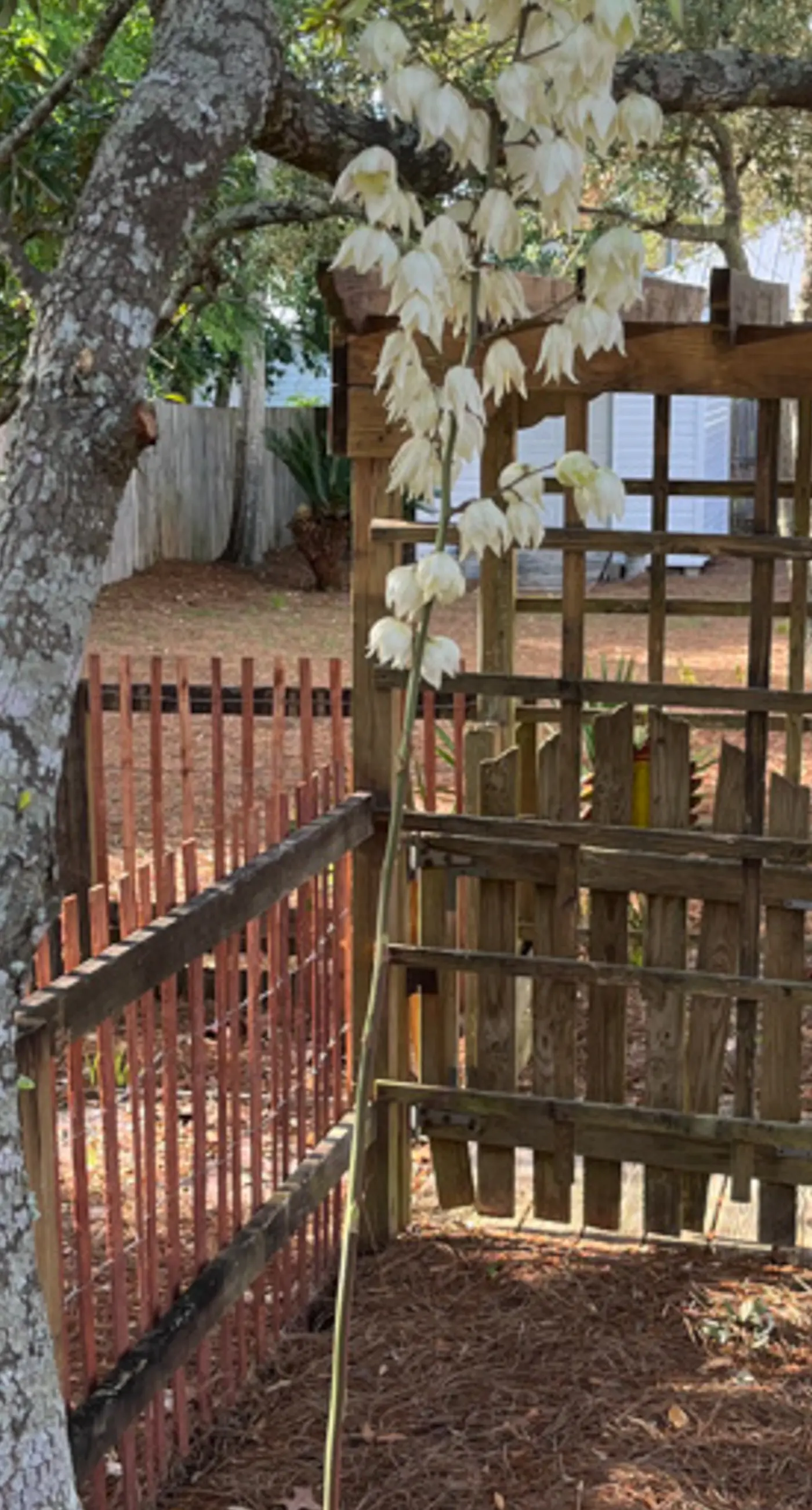 Snowbird-friendly home near the beach with large yard for dogs, boats, trailers