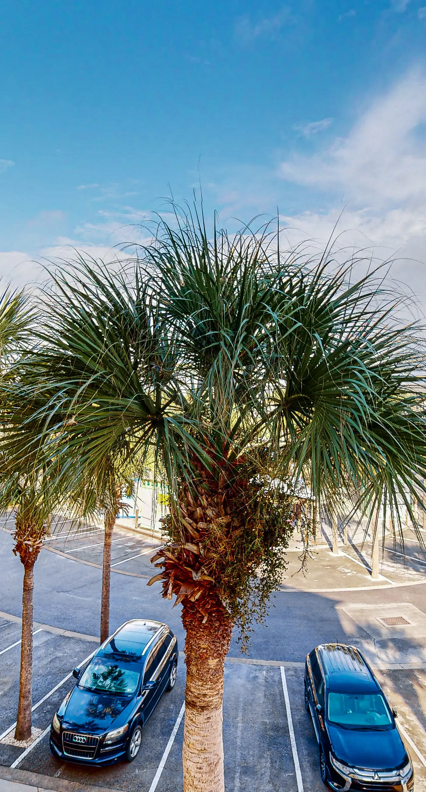 Comfortable condo with kitchenette, community pools & hot tub - walk to the beach