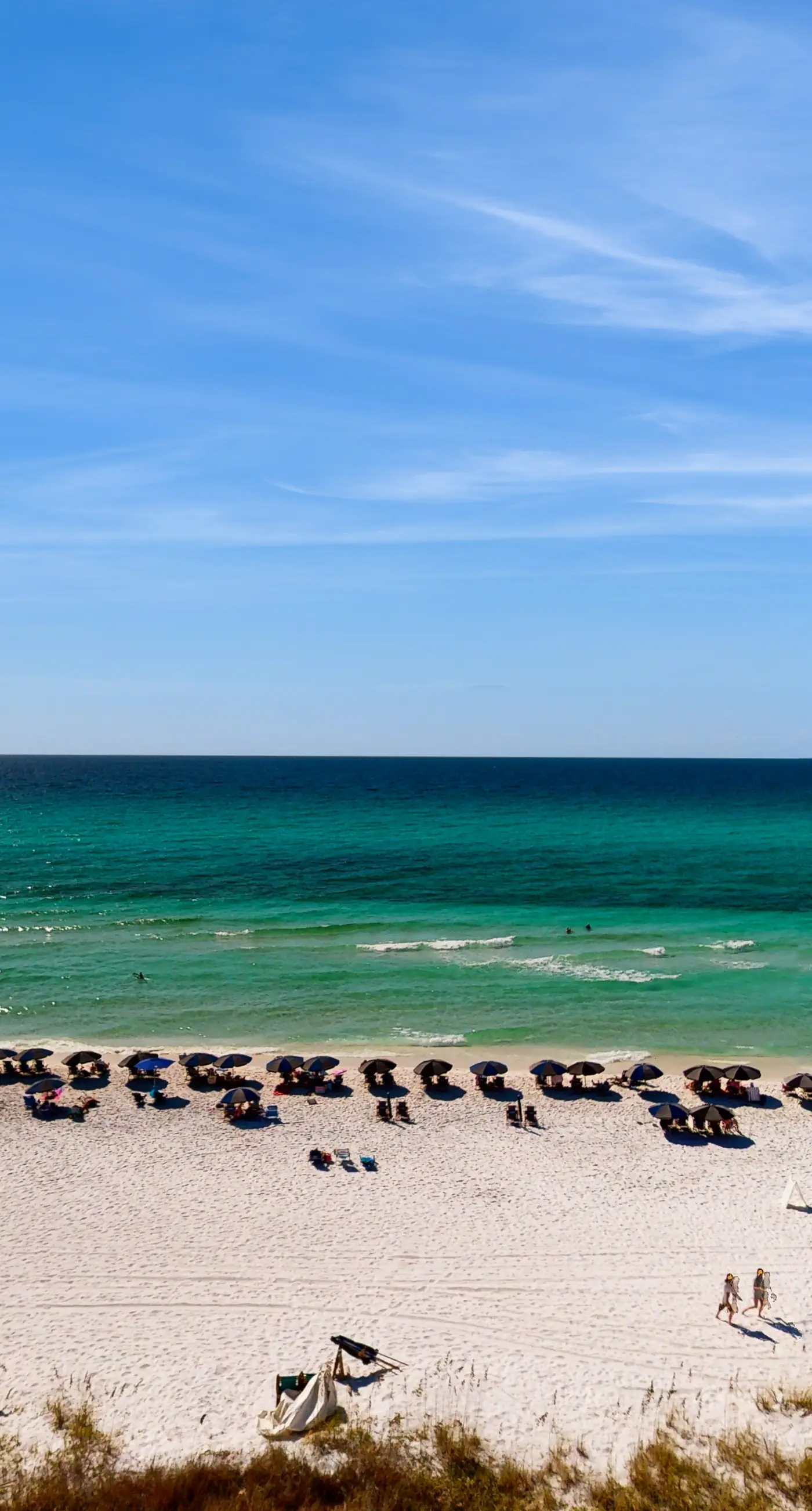 Beachfront escape w/ sweeping ocean views & shared pool - snowbirds welcome!