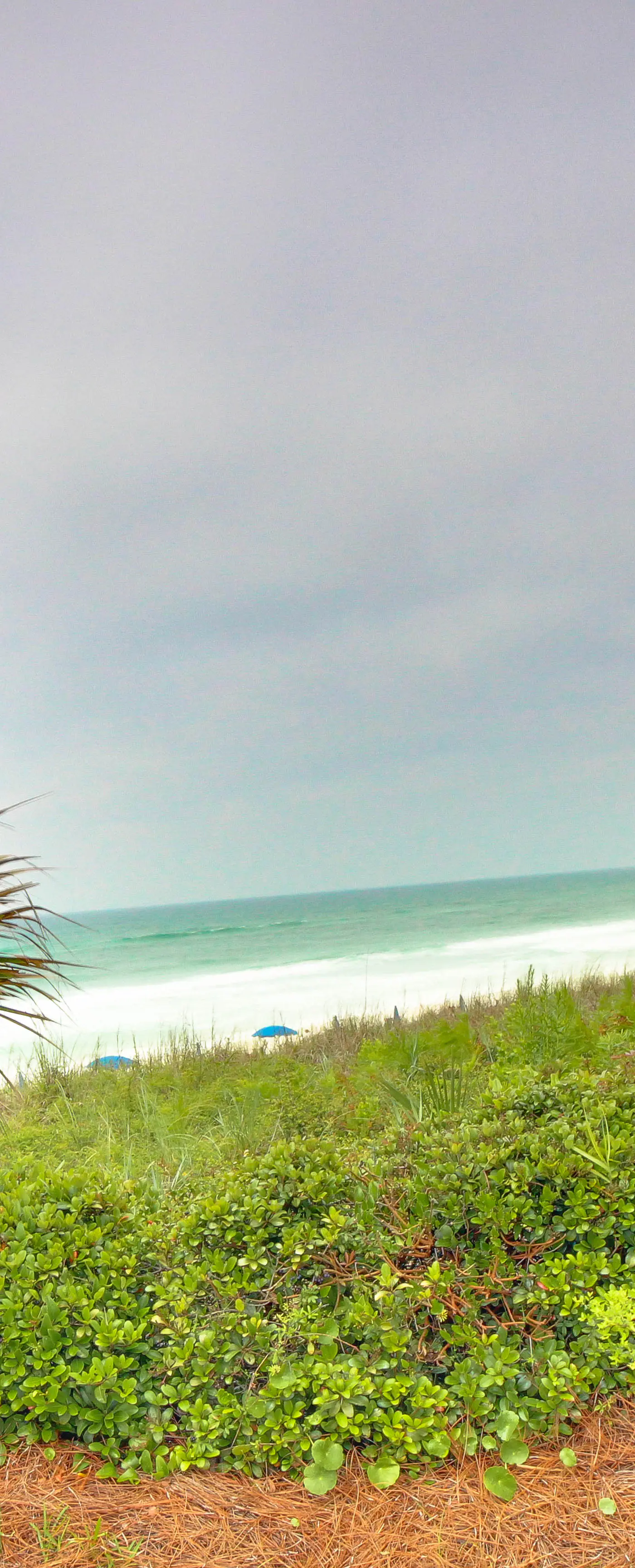 Beachfront escape w/ sweeping ocean views & shared pool - snowbirds welcome!