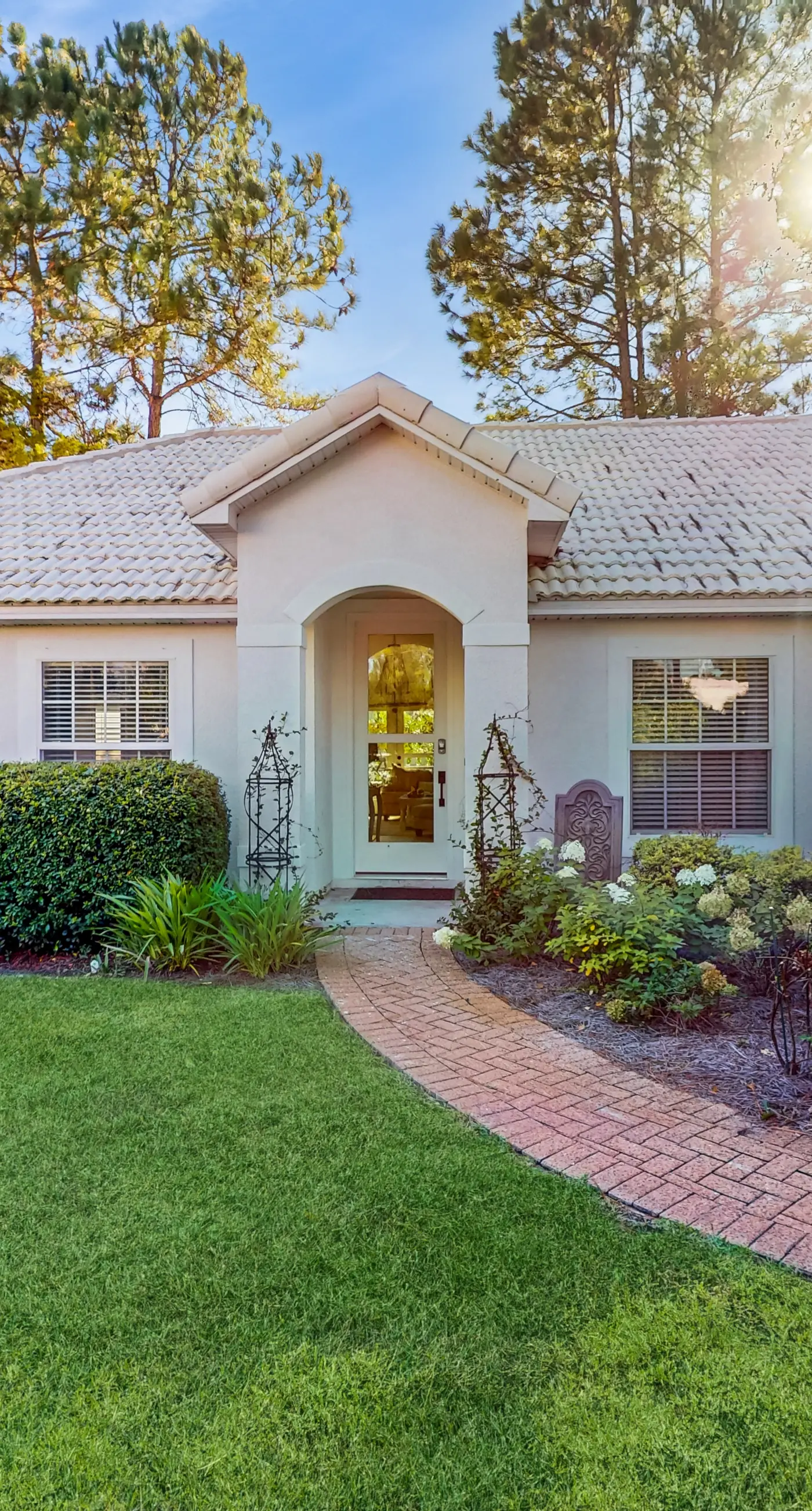 Sea Shell Pines