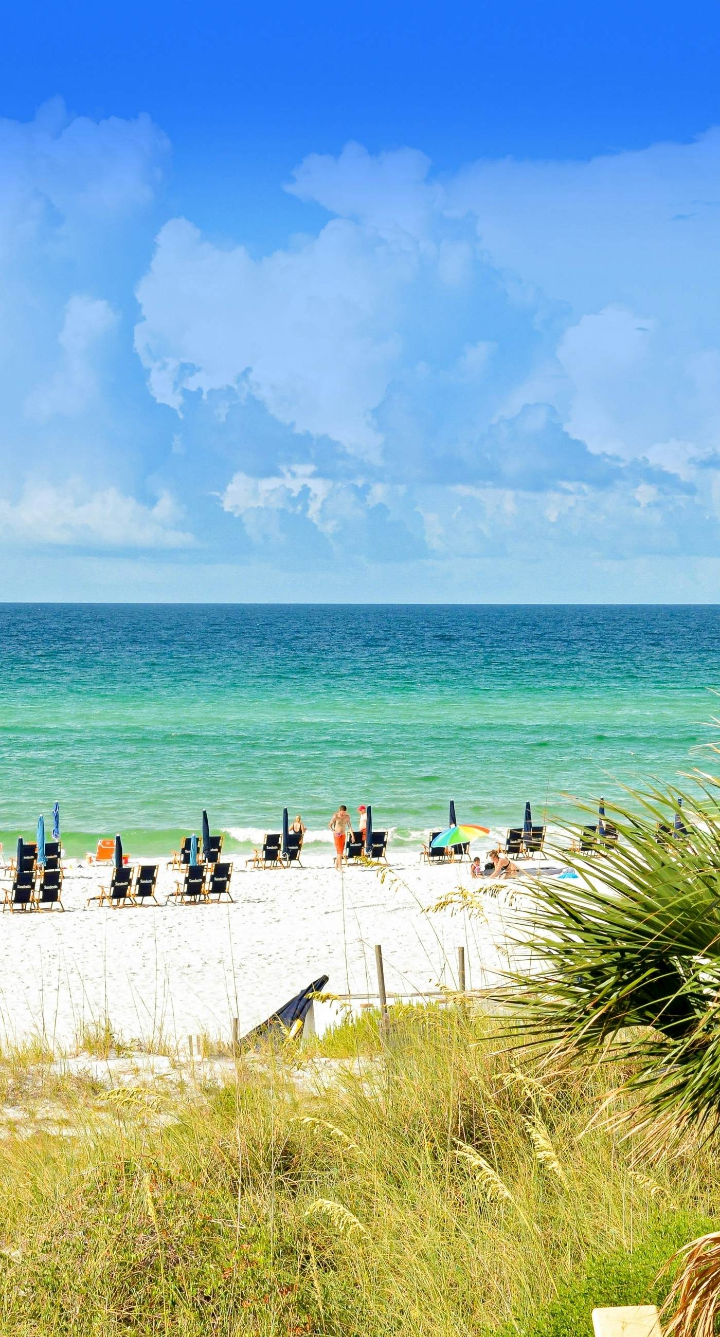 Gorgeous coastal studio with shared pool, near shopping and golf.