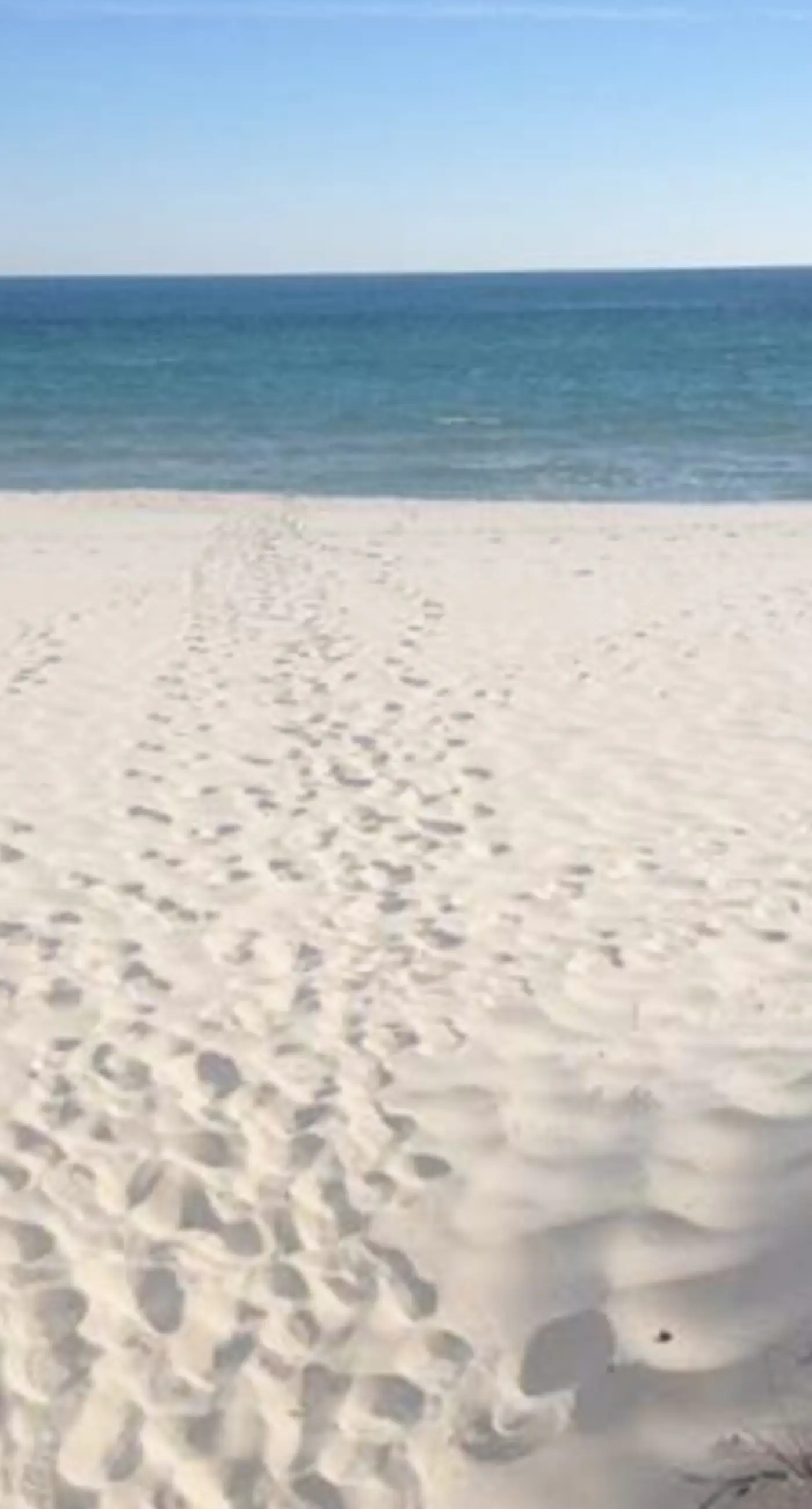 Inviting Gulf-front condo In Perdido Key with waterfront pool/hot tub and oceanfront balcony