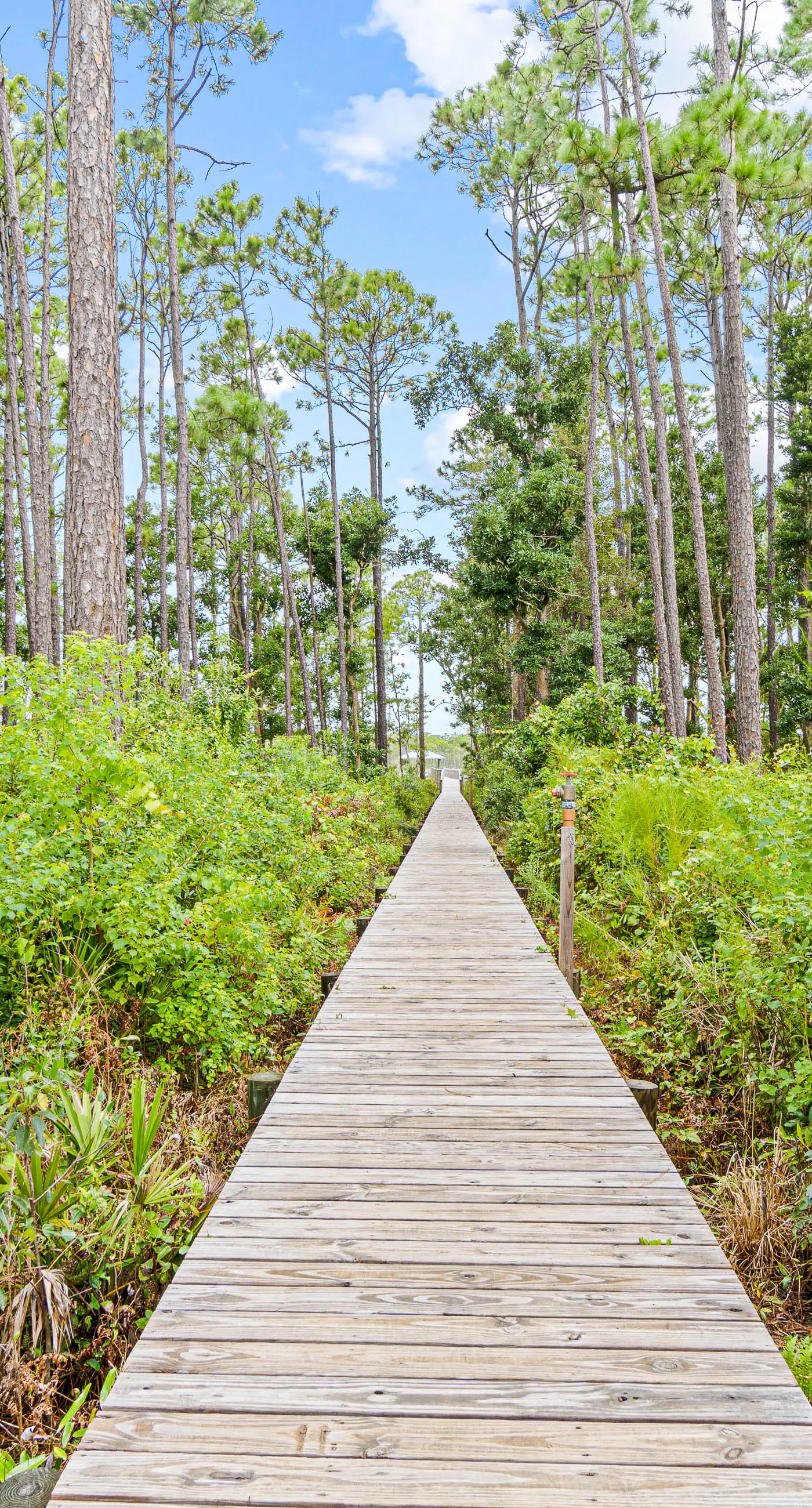 Gorgeous family home, plenty of space, family-friendly & close to everything