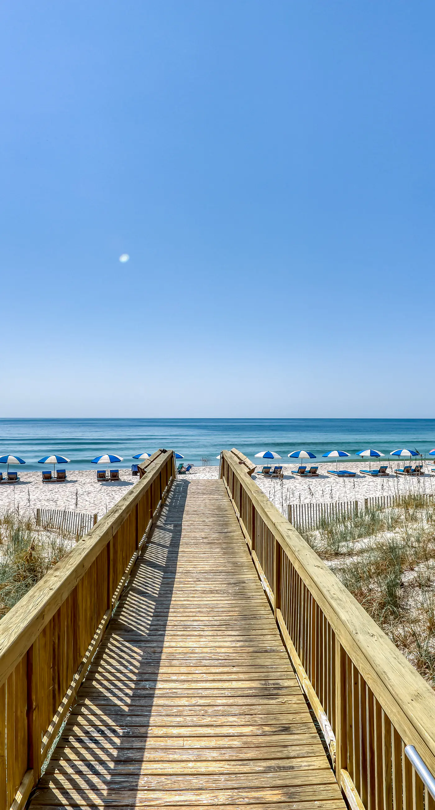 Gorgeous, cozy beachfront condo with pool, pool spa & beach access