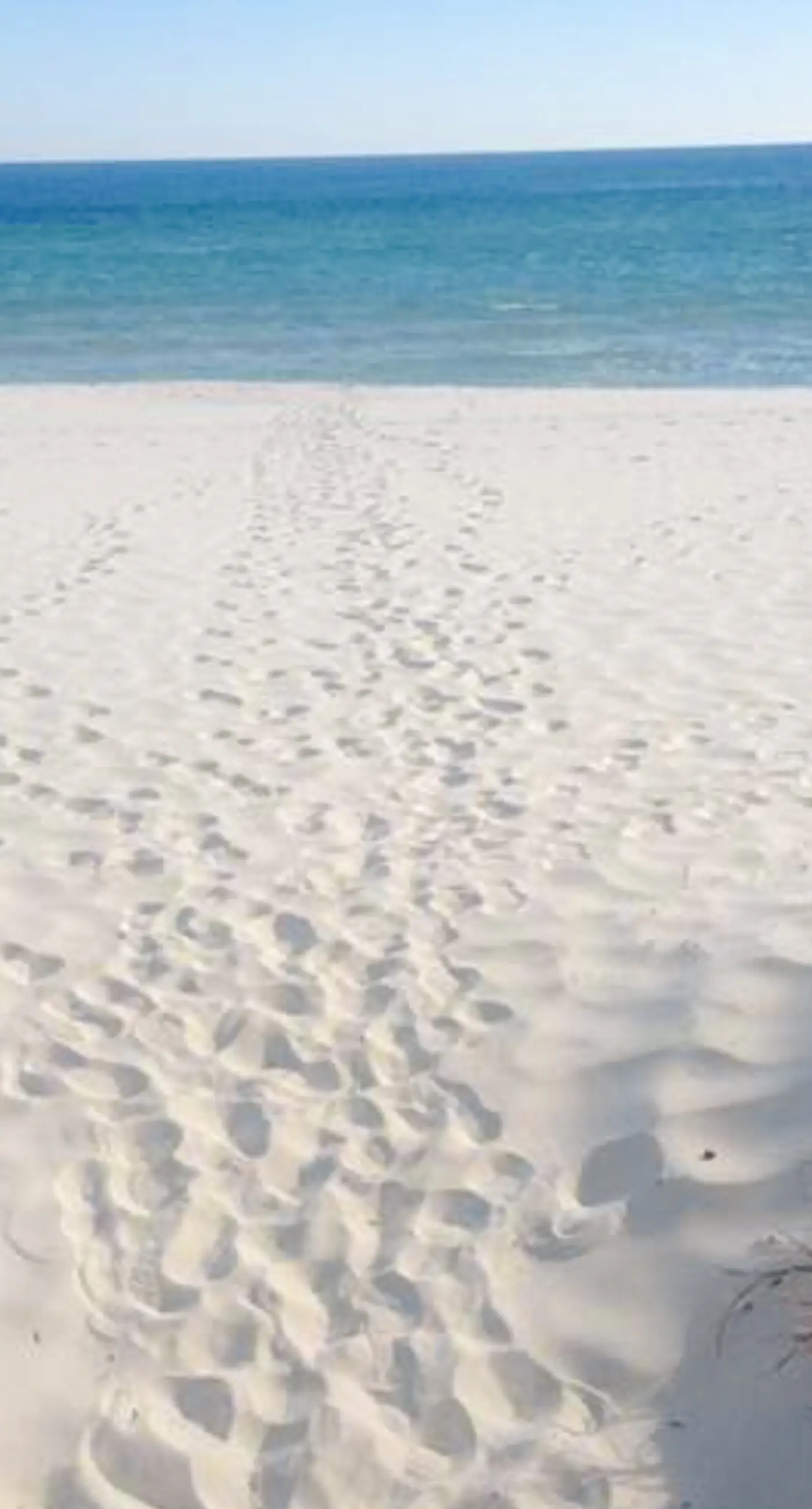 Inviting Gulf-front condo In Perdido Key with waterfront pool/hot tub and oceanfront balcony
