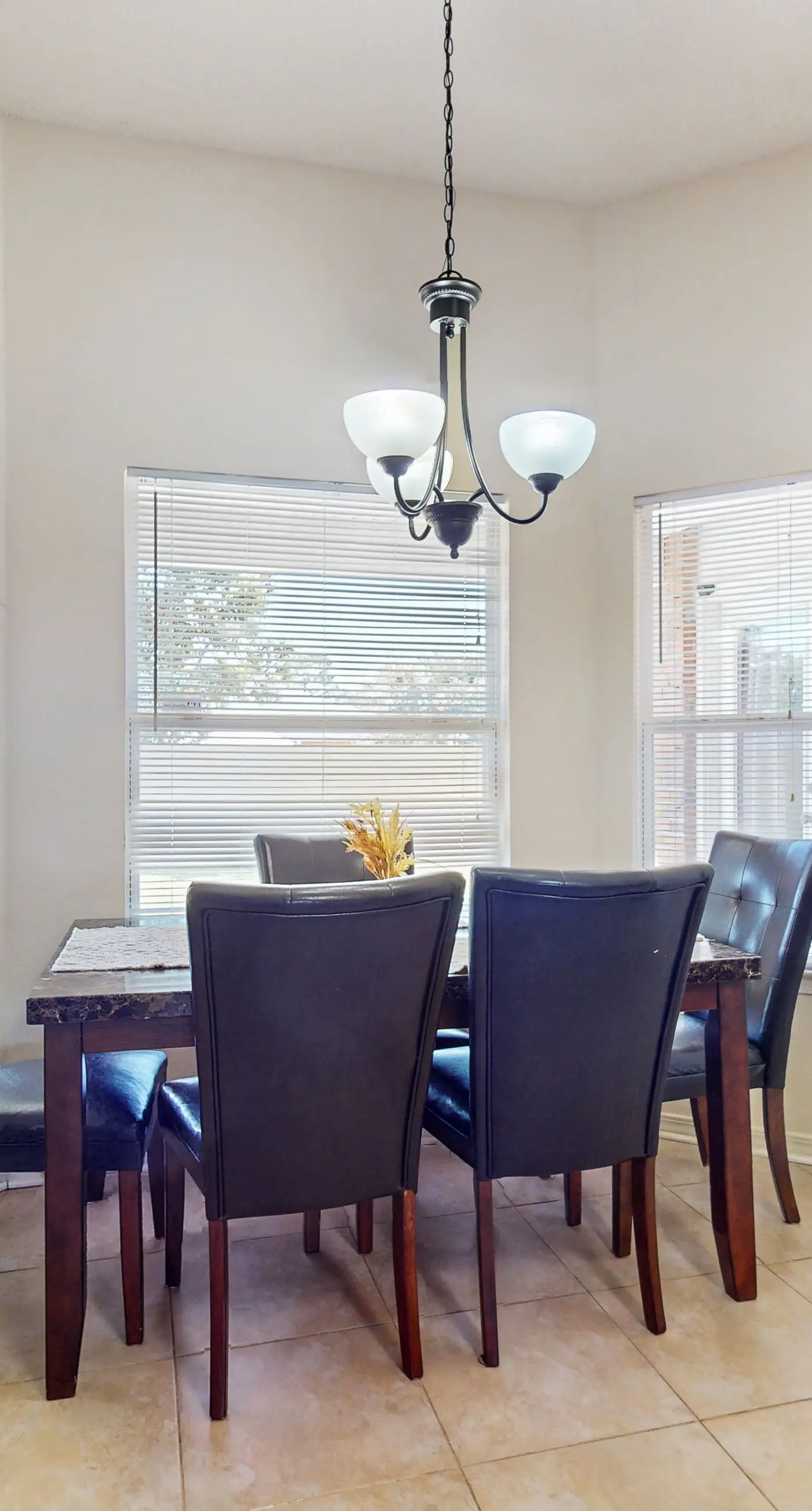Gorgeous pet friendly coastal home with plenty of space and easy beach access