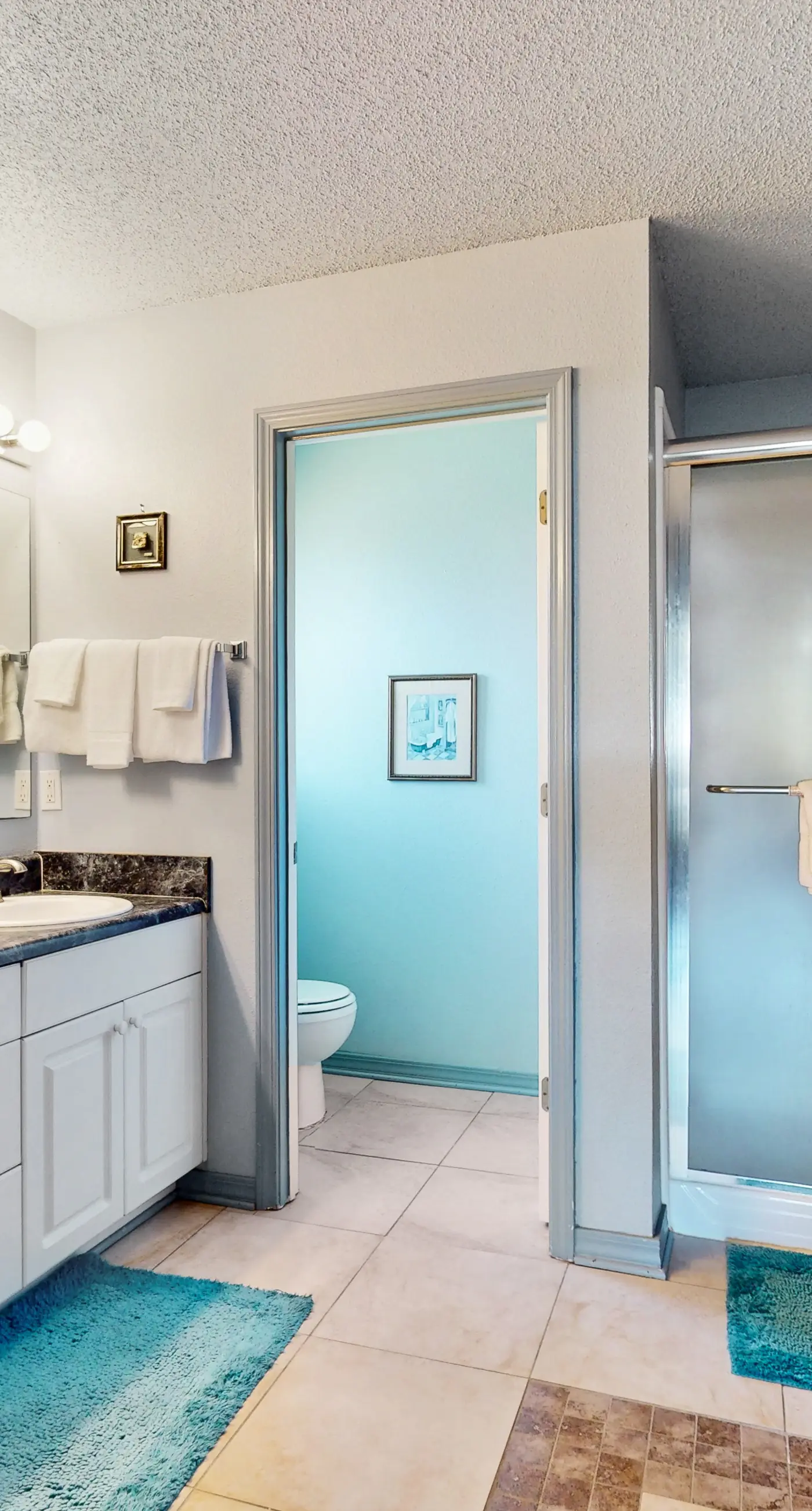 Gorgeous pet friendly coastal home with plenty of space and easy beach access
