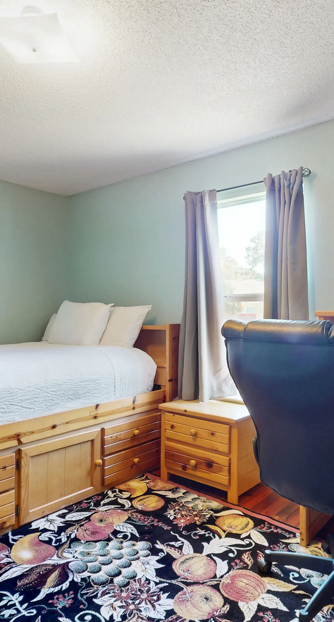Gorgeous pet friendly coastal home with plenty of space and easy beach access