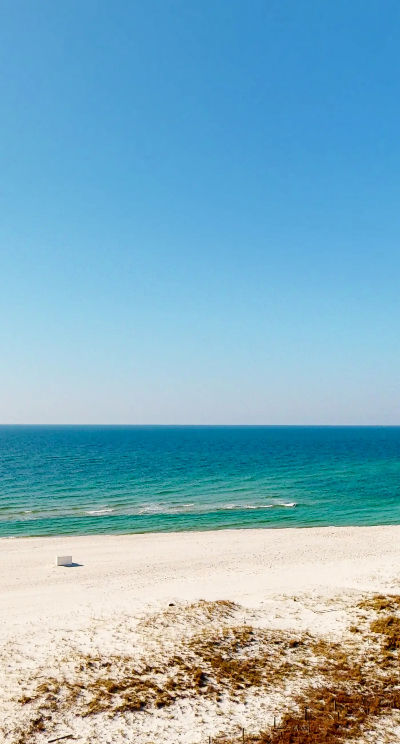 6th-floor updated Gulf-front retreat - near area attractions & restaurants