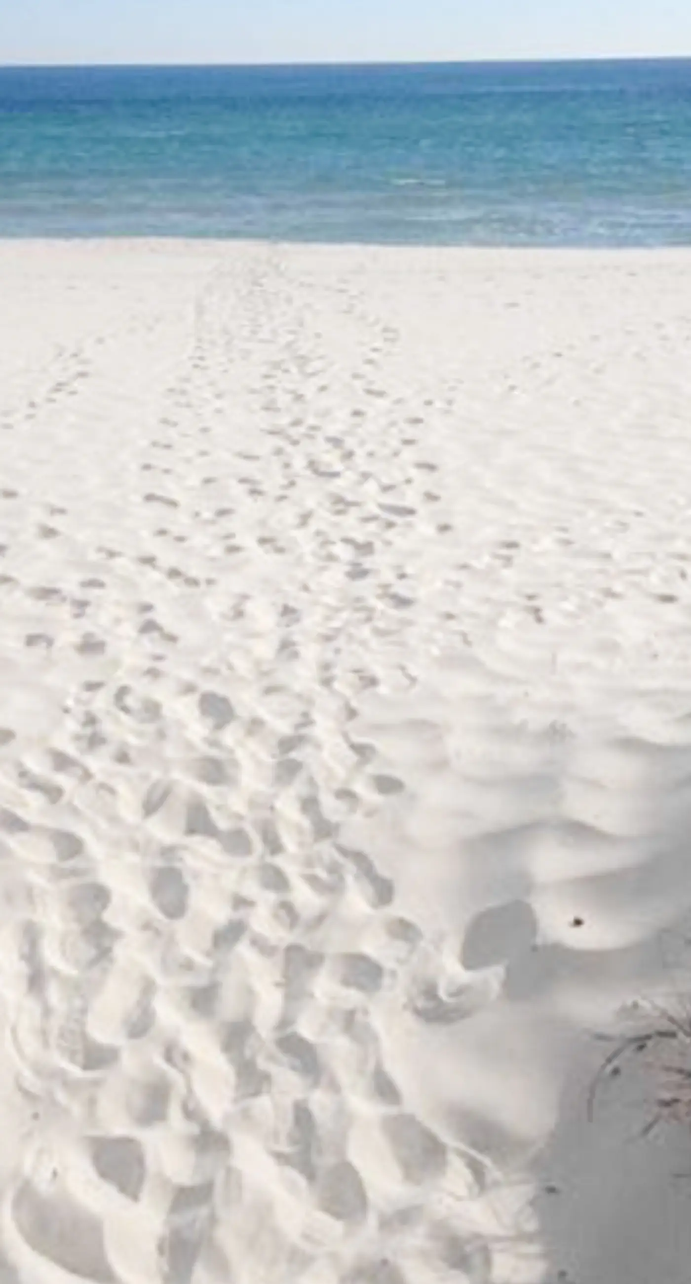 Inviting Gulf-front condo In Perdido Key with waterfront pool/hot tub and oceanfront balcony