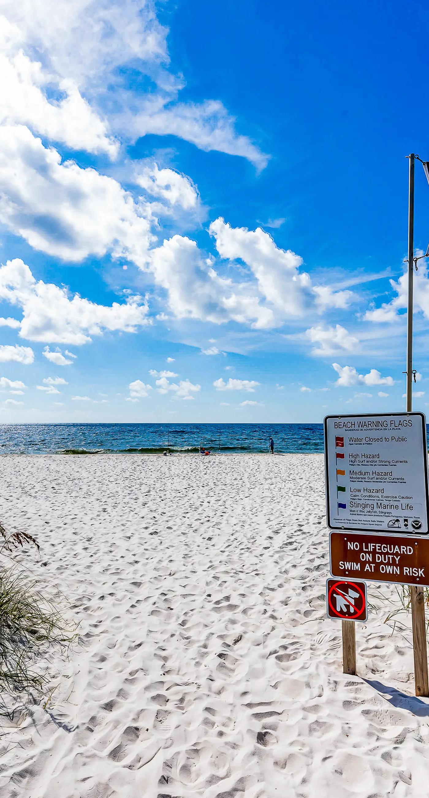 Wonderful dog-friendly home with washer/dryer, patio, & kitchen - close to beach