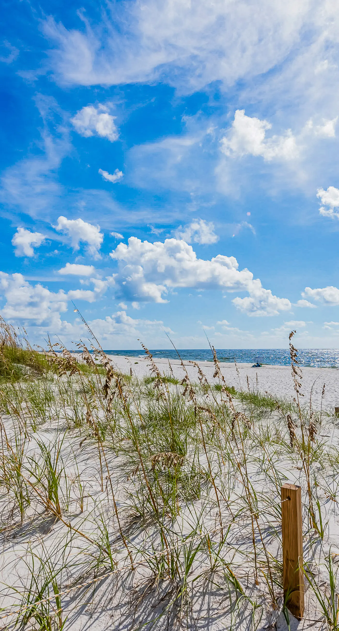 Wonderful dog-friendly home with washer/dryer, patio, & kitchen - close to beach