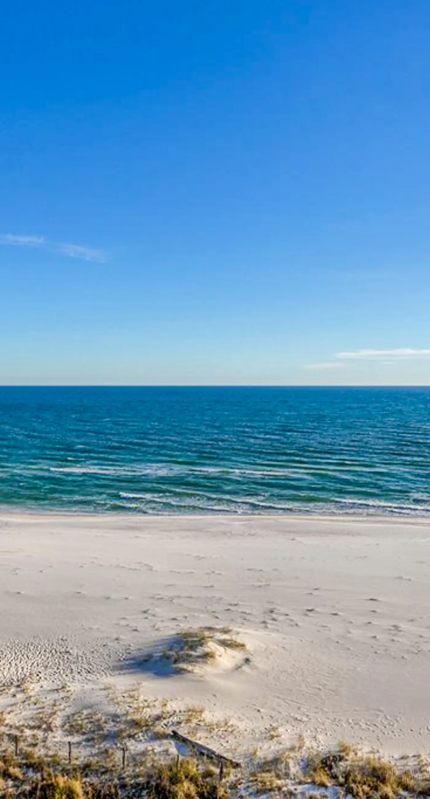 Beachfront 10th-floor condo with Gulf view, pool, gym, & balcony