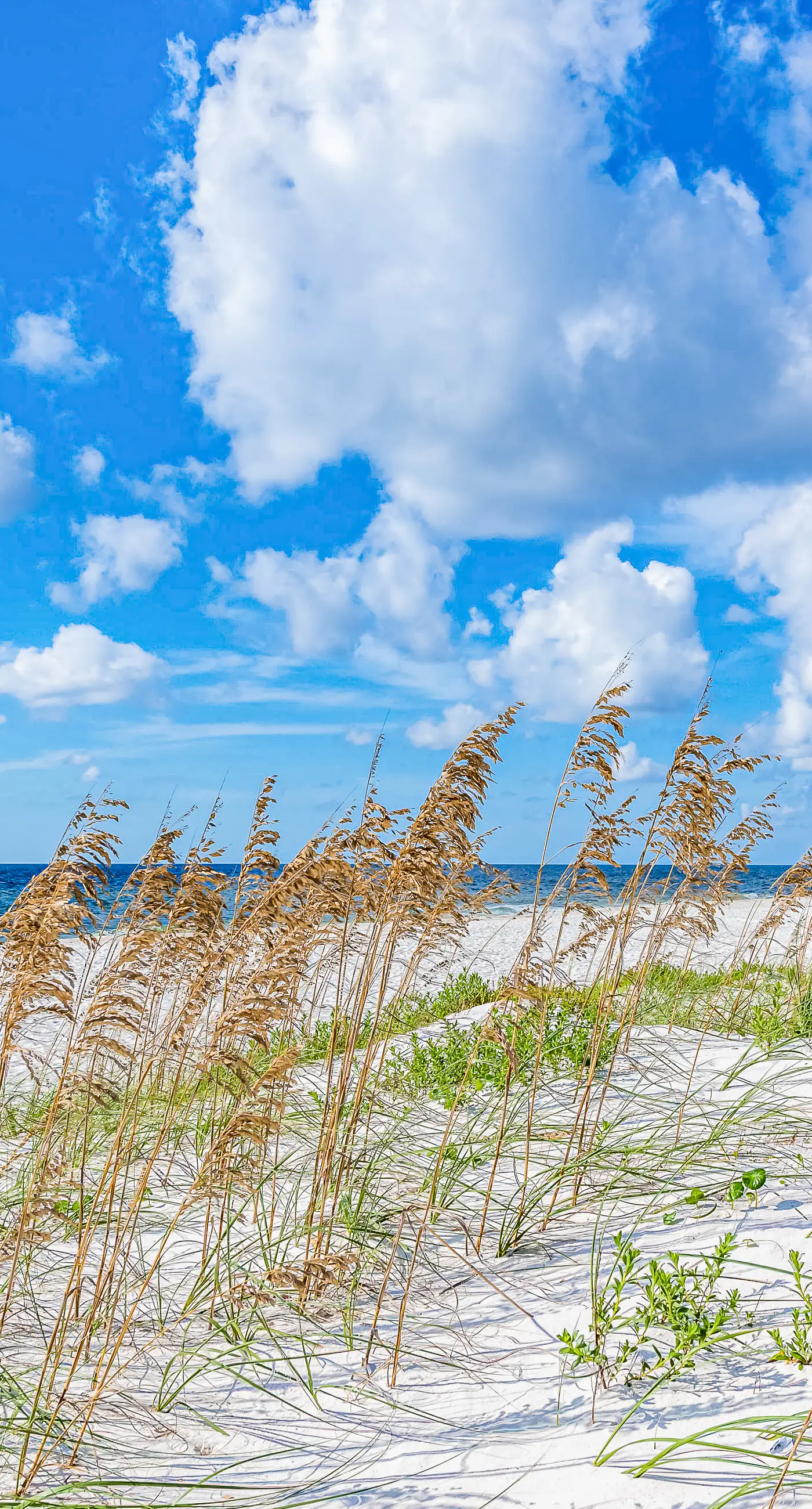 Beachfront 10th-floor condo with Gulf view, pool, gym, & balcony