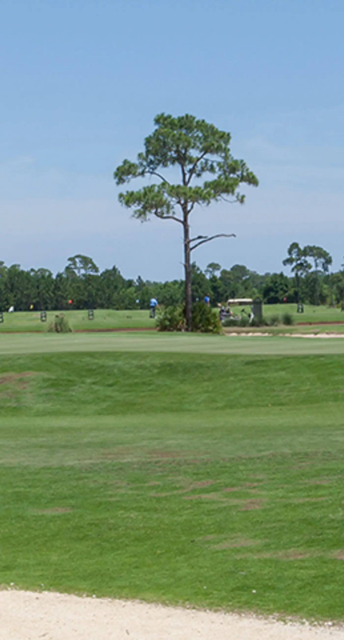 Beautiful & open home with enclosed porch, game room, W/D - beach & pool access