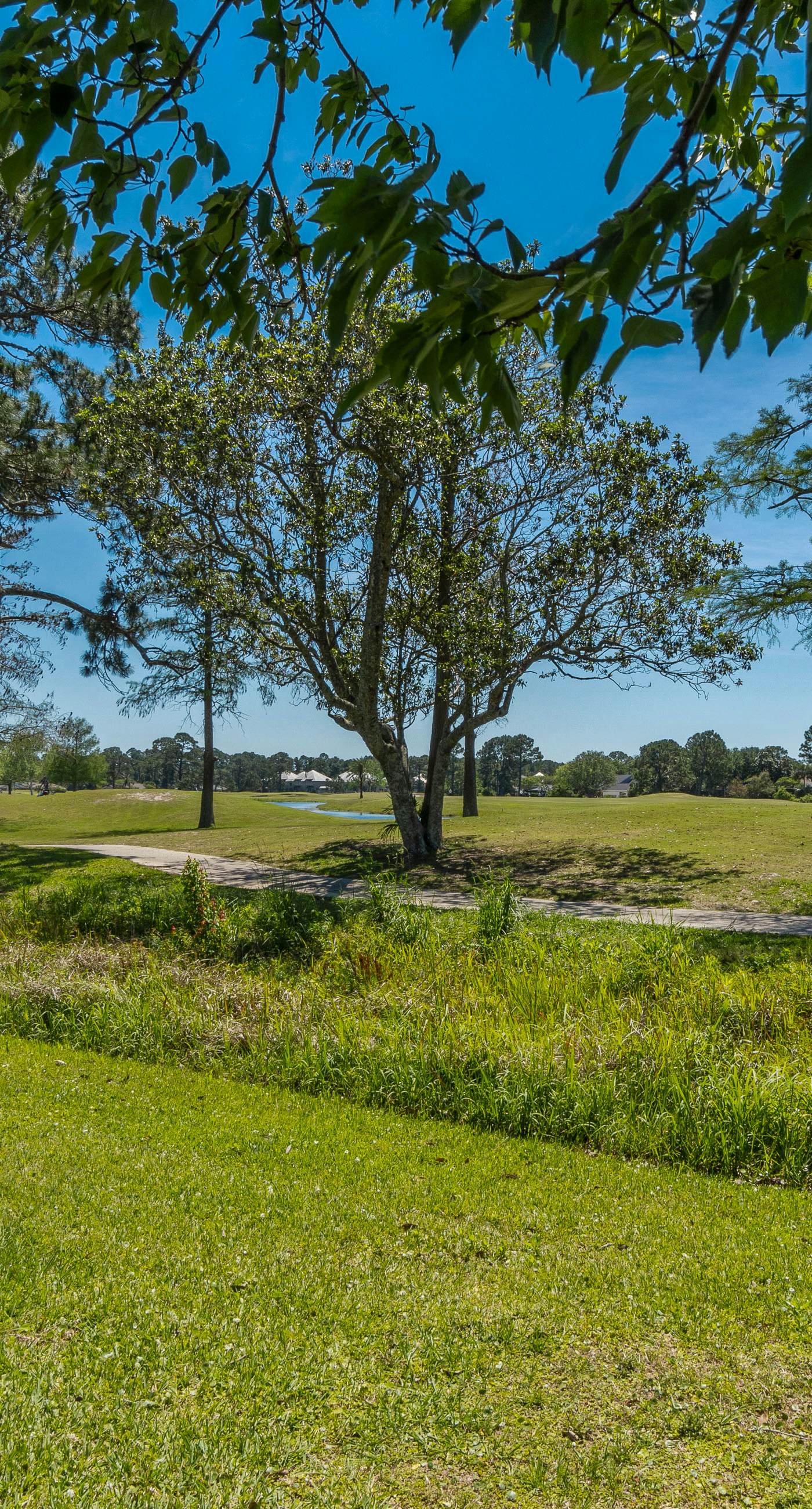 Dog-friendly coastal townhome with golf course views, patios, & washer/dryer