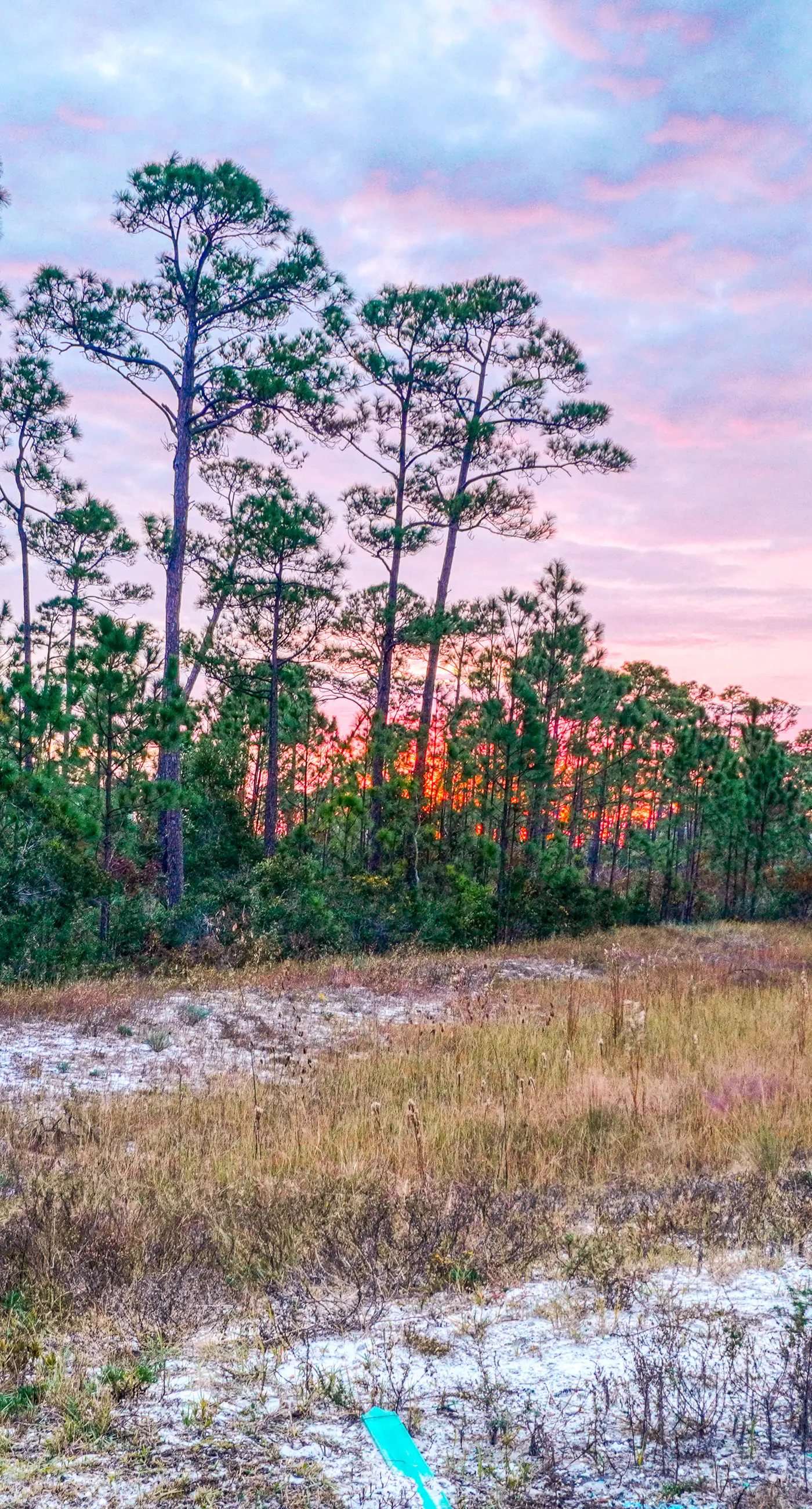 Snowbird-friendly townhome with WiFi, patio, central ac, pool,hot tub,gym