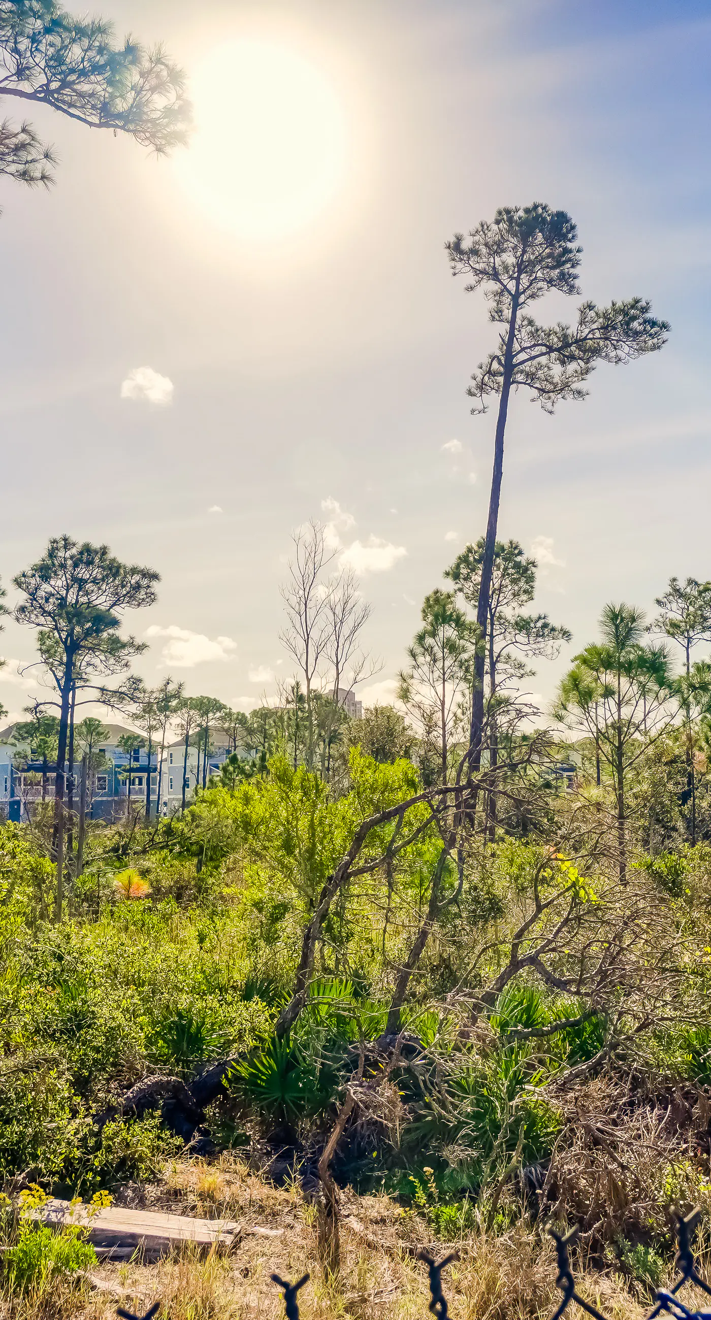 Snowbird-friendly townhome with WiFi, patio, central ac, pool,hot tub,gym