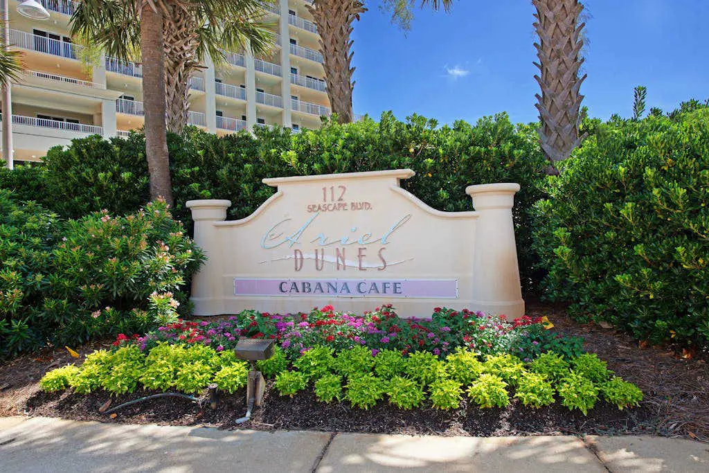 Ariel Dunes I 1709