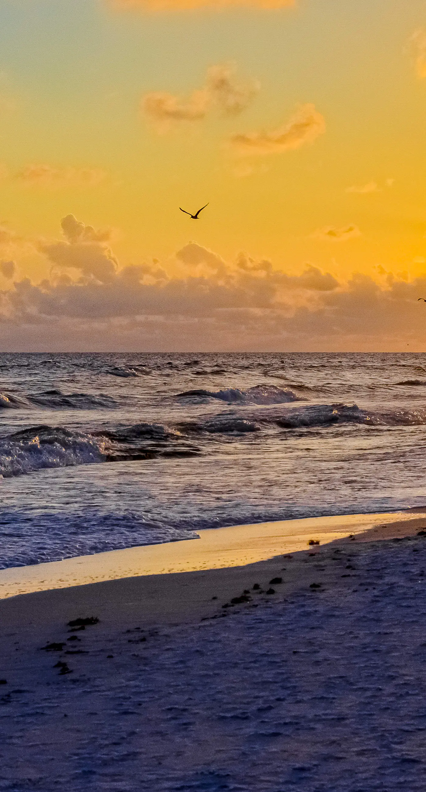 Cozy coastal studio with access to a pool, hot tub, tennis courts, grill, & spas