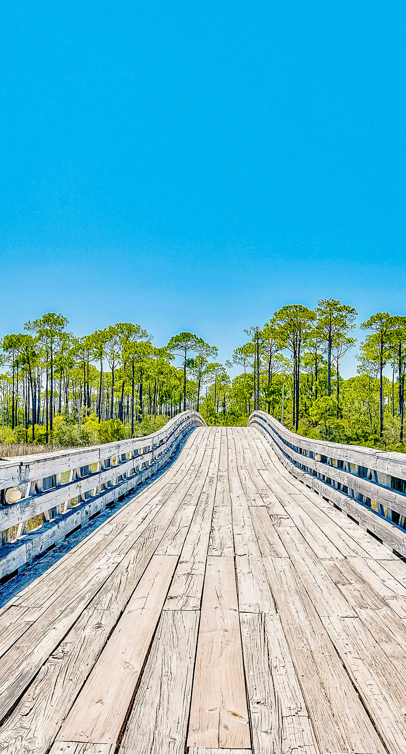 Cozy coastal studio with access to a pool, hot tub, tennis courts, grill, & spas