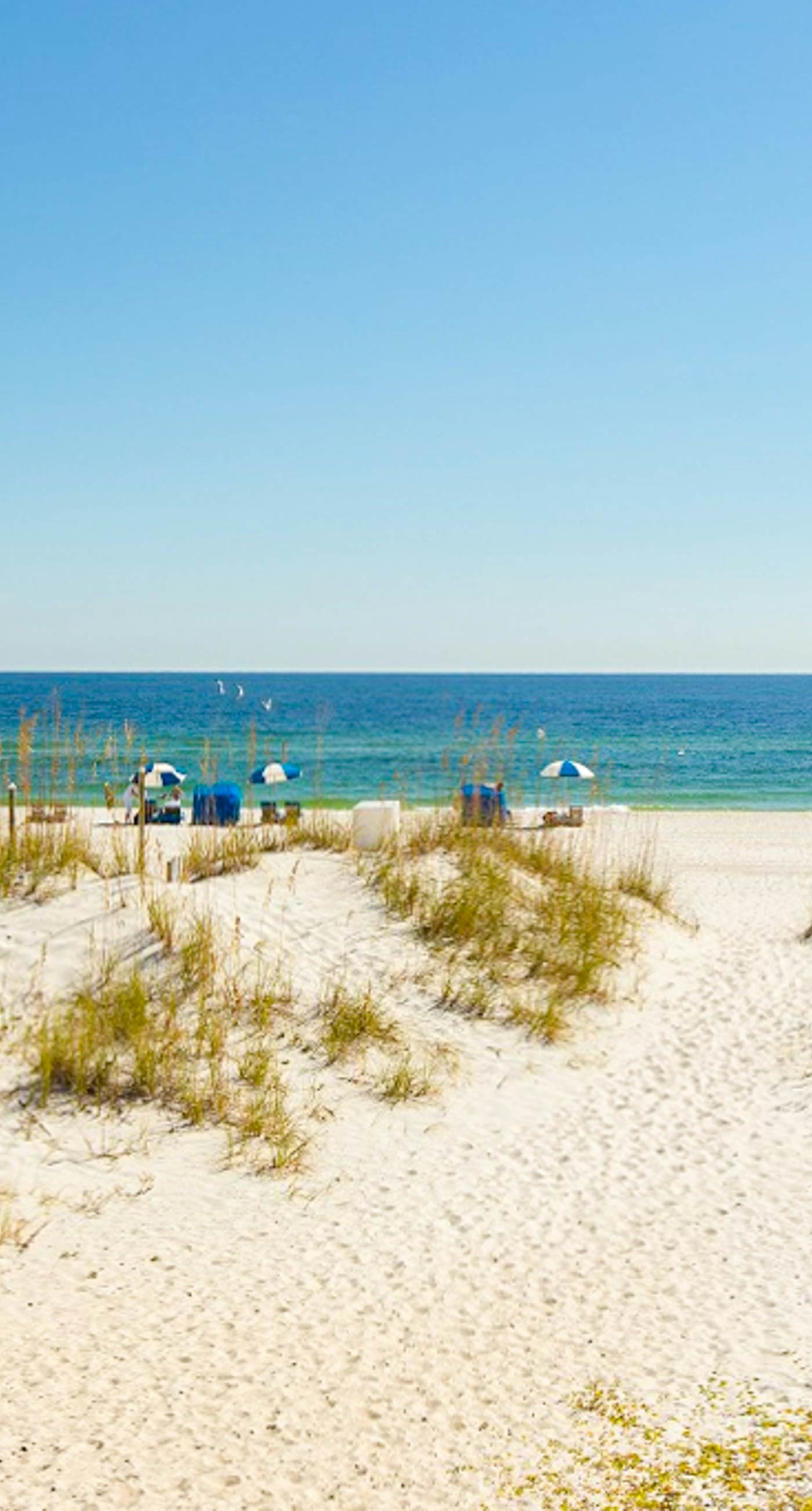 Comfortable dog-friendly townhome with full kitchen - walk to the beach