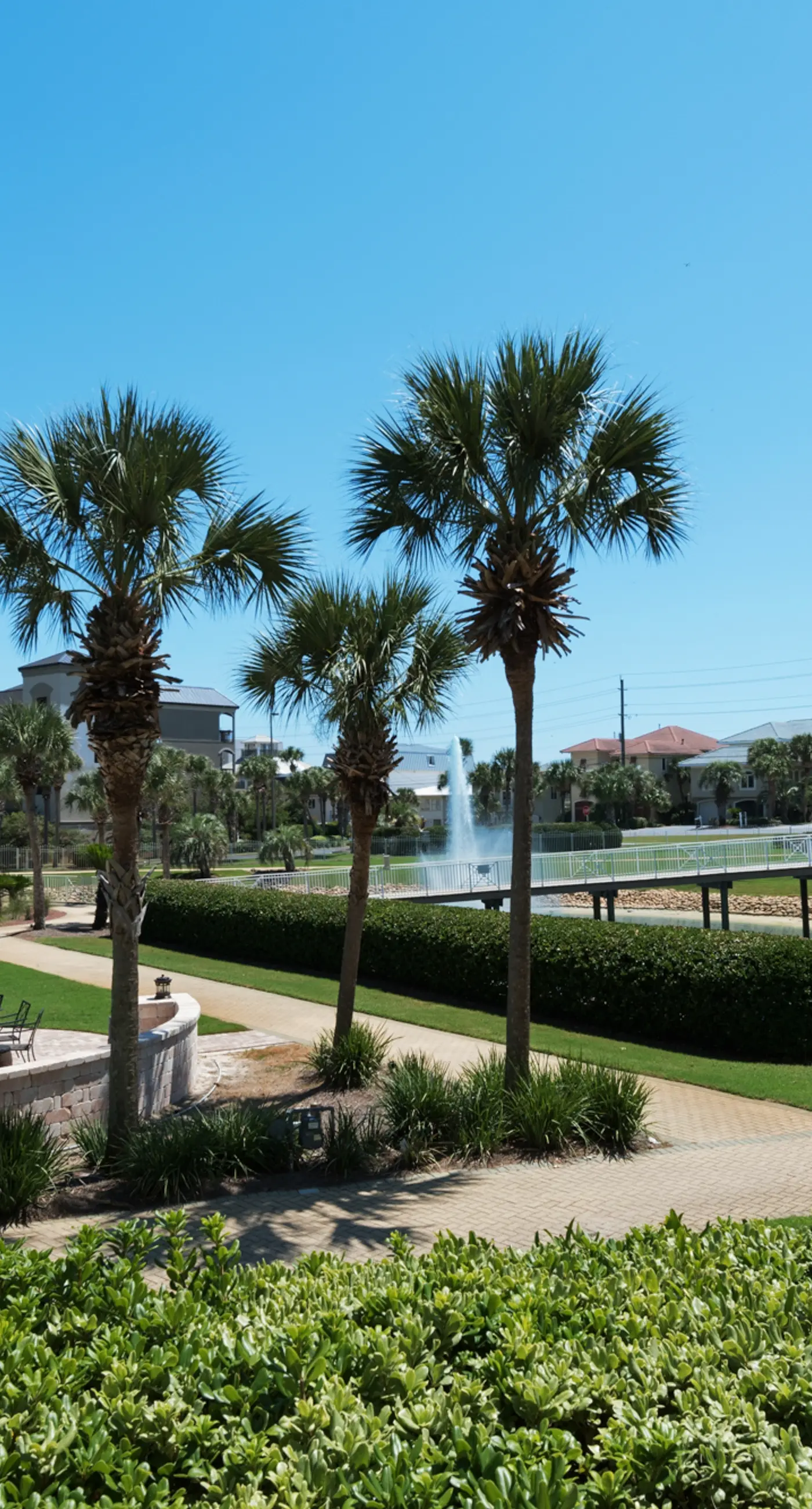 Ocean view condo with high-speed WiFi, balcony, shared pool, & beach access