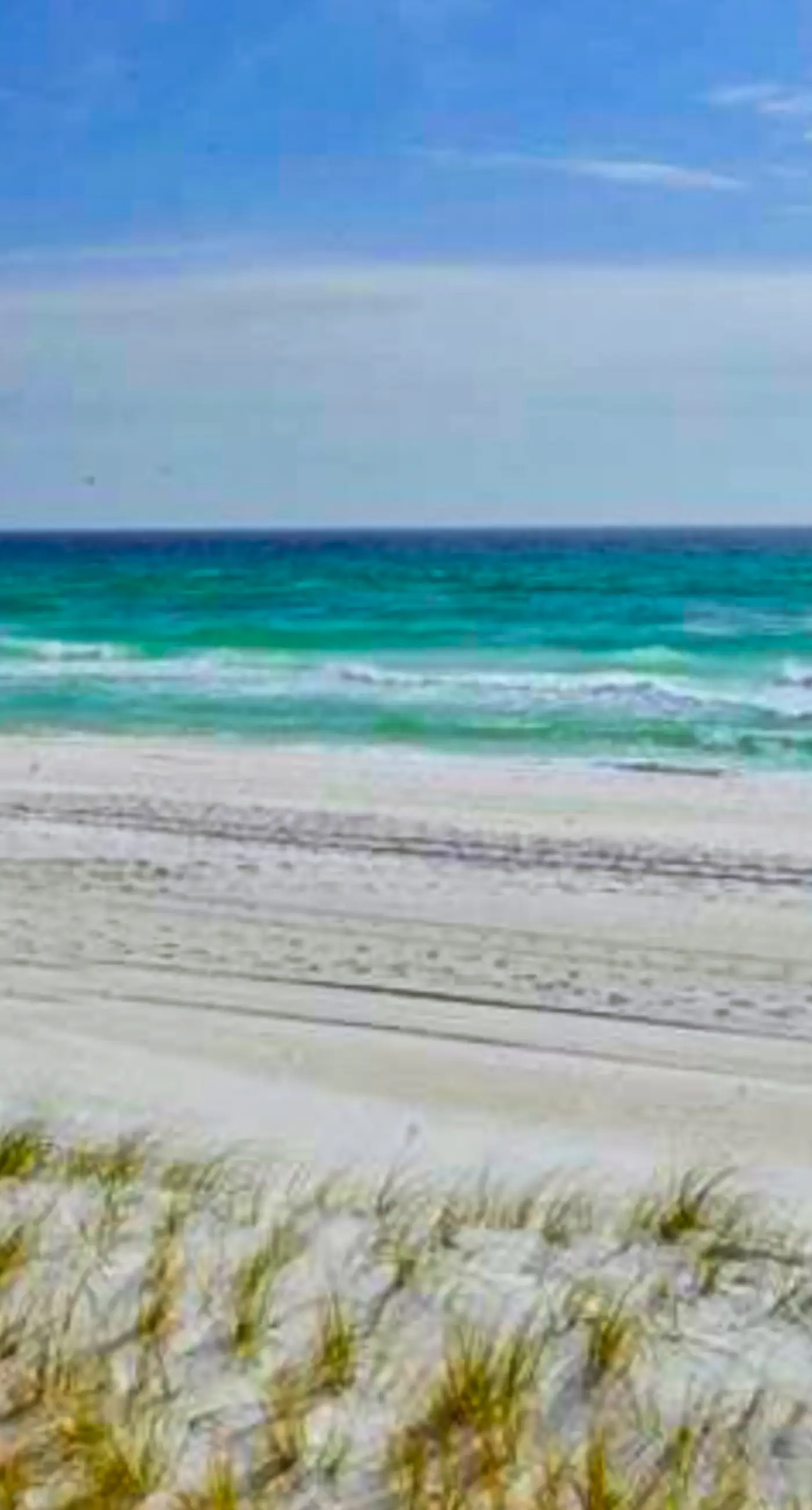 Majestic Sun A1204 | Gulf-View Condo, Beach Access
