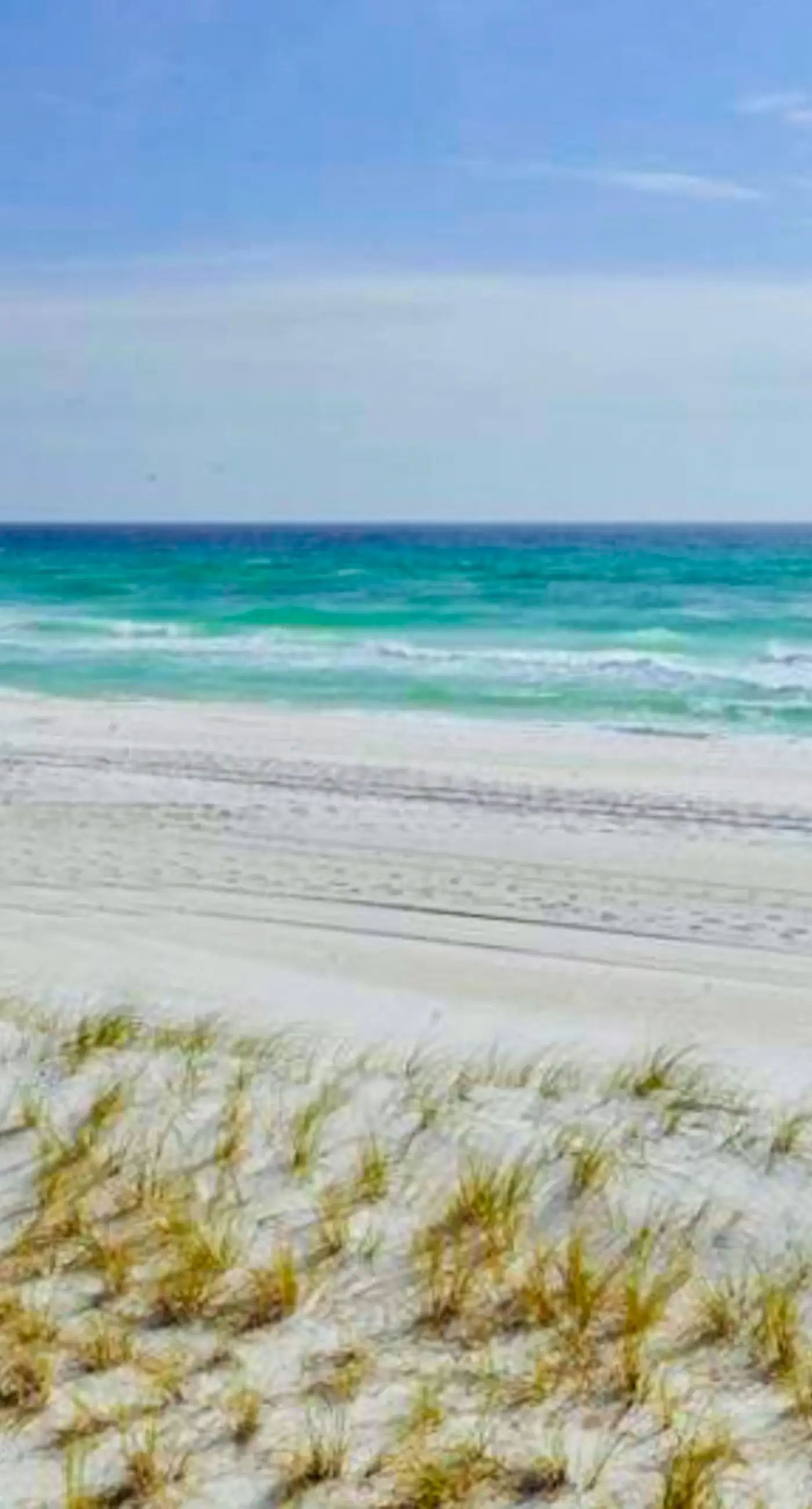 Majestic Sun A806 | Beachfront Views & Pool Fun!