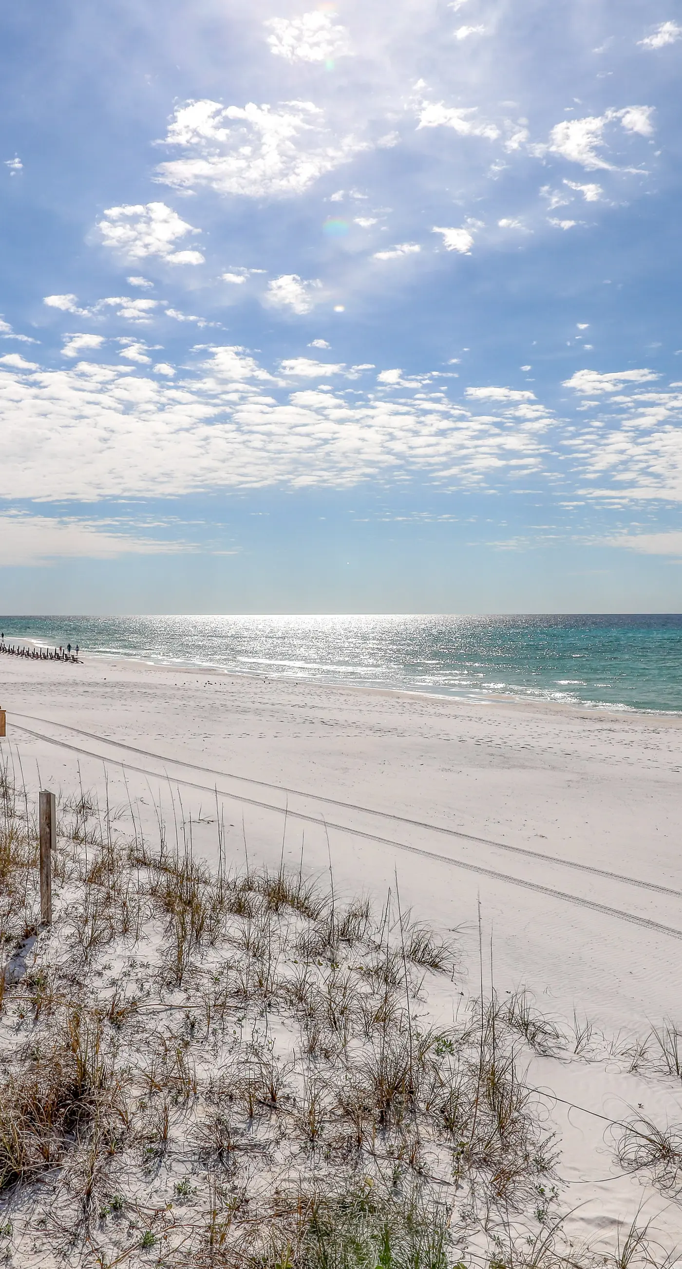 Beachview Condo with full kitchen, shared pool and beach access