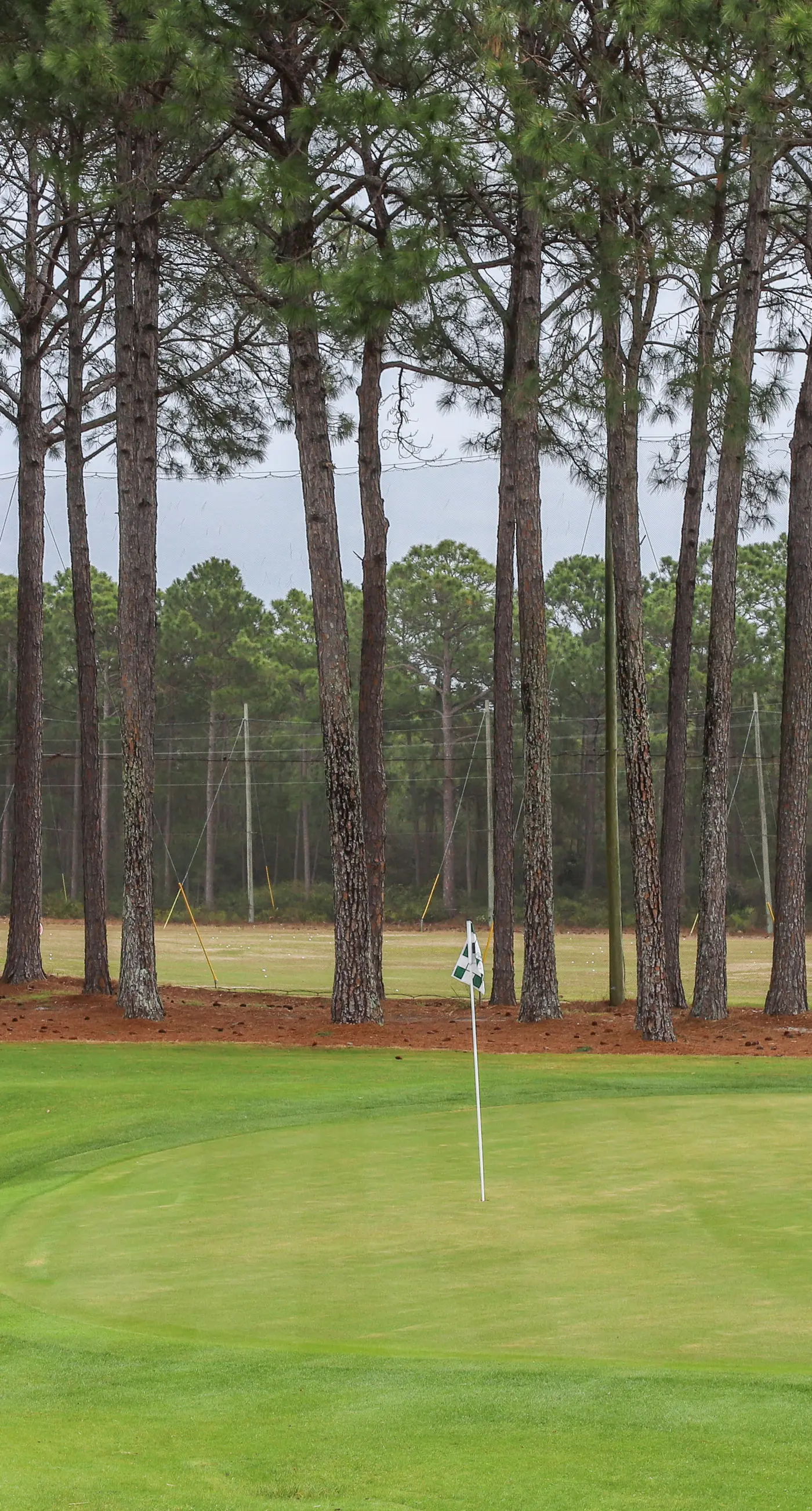 Beachview Condo with full kitchen, shared pool and beach access