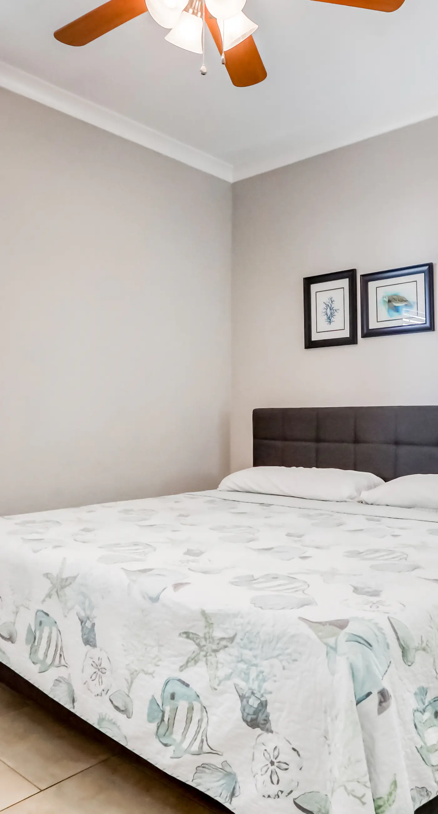 Dog-friendly coastal haven with 3 bikes, pool & easy beach access