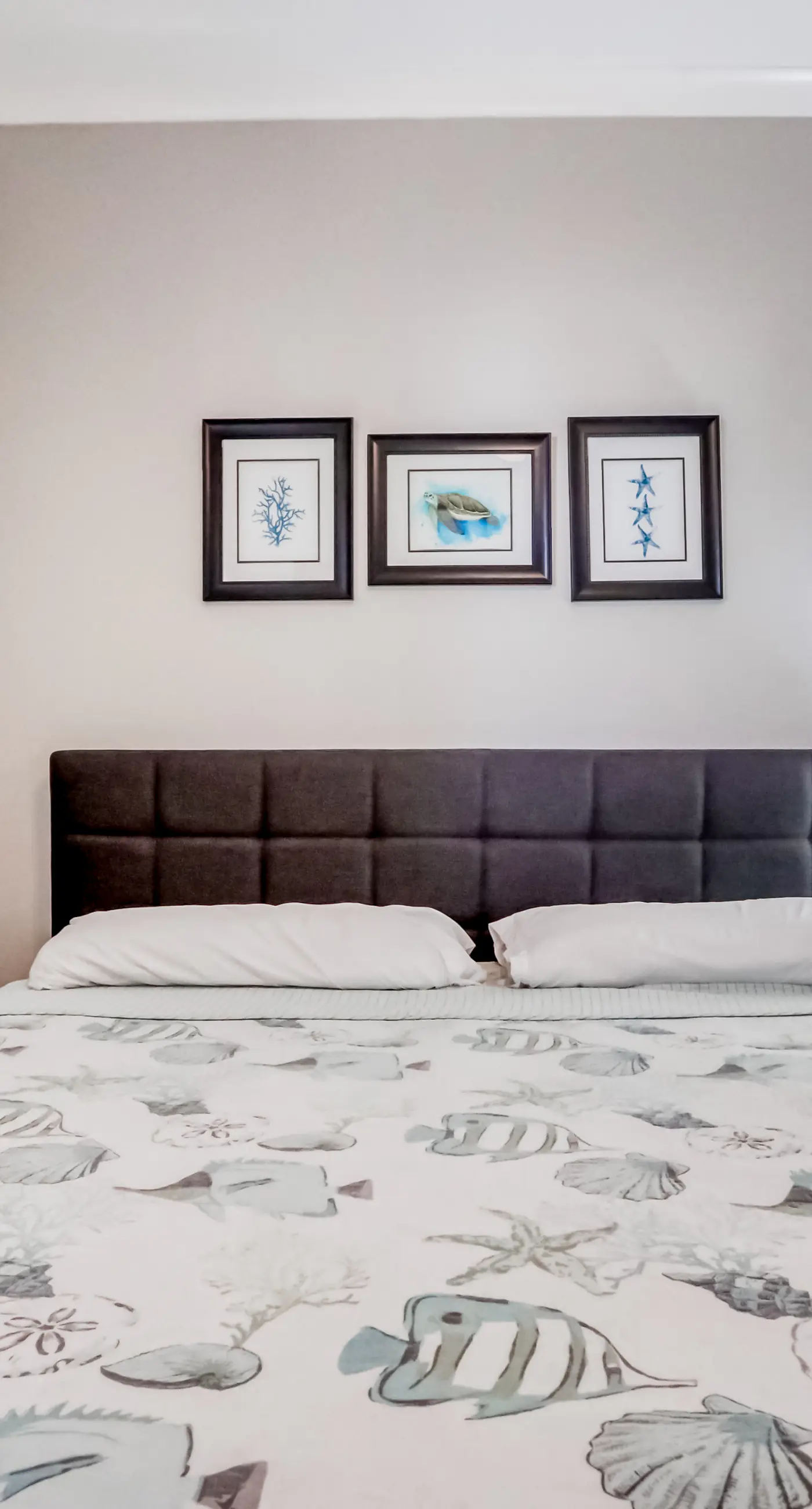 Dog-friendly coastal haven with 3 bikes, pool & easy beach access