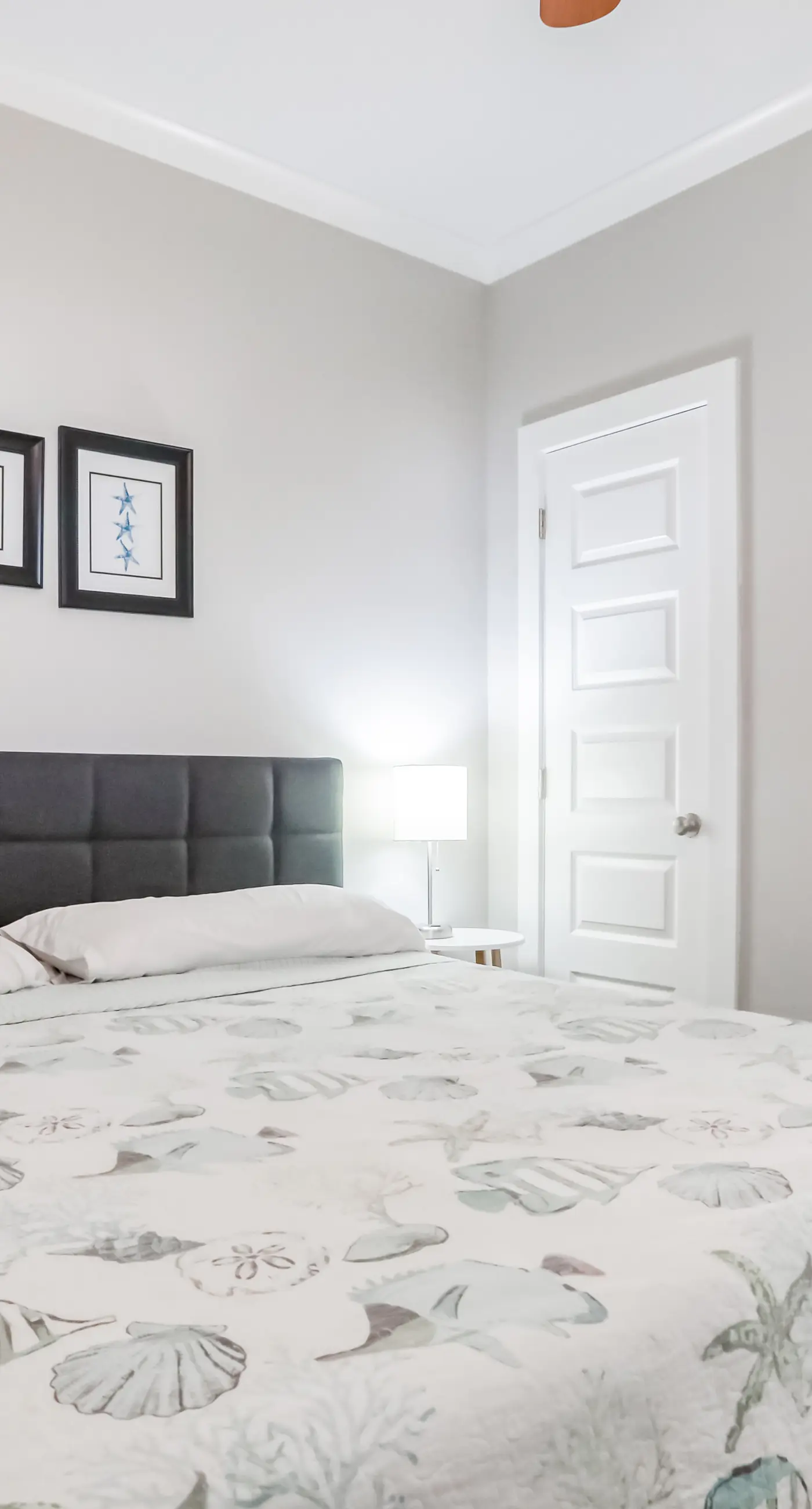 Dog-friendly coastal haven with 3 bikes, pool & easy beach access