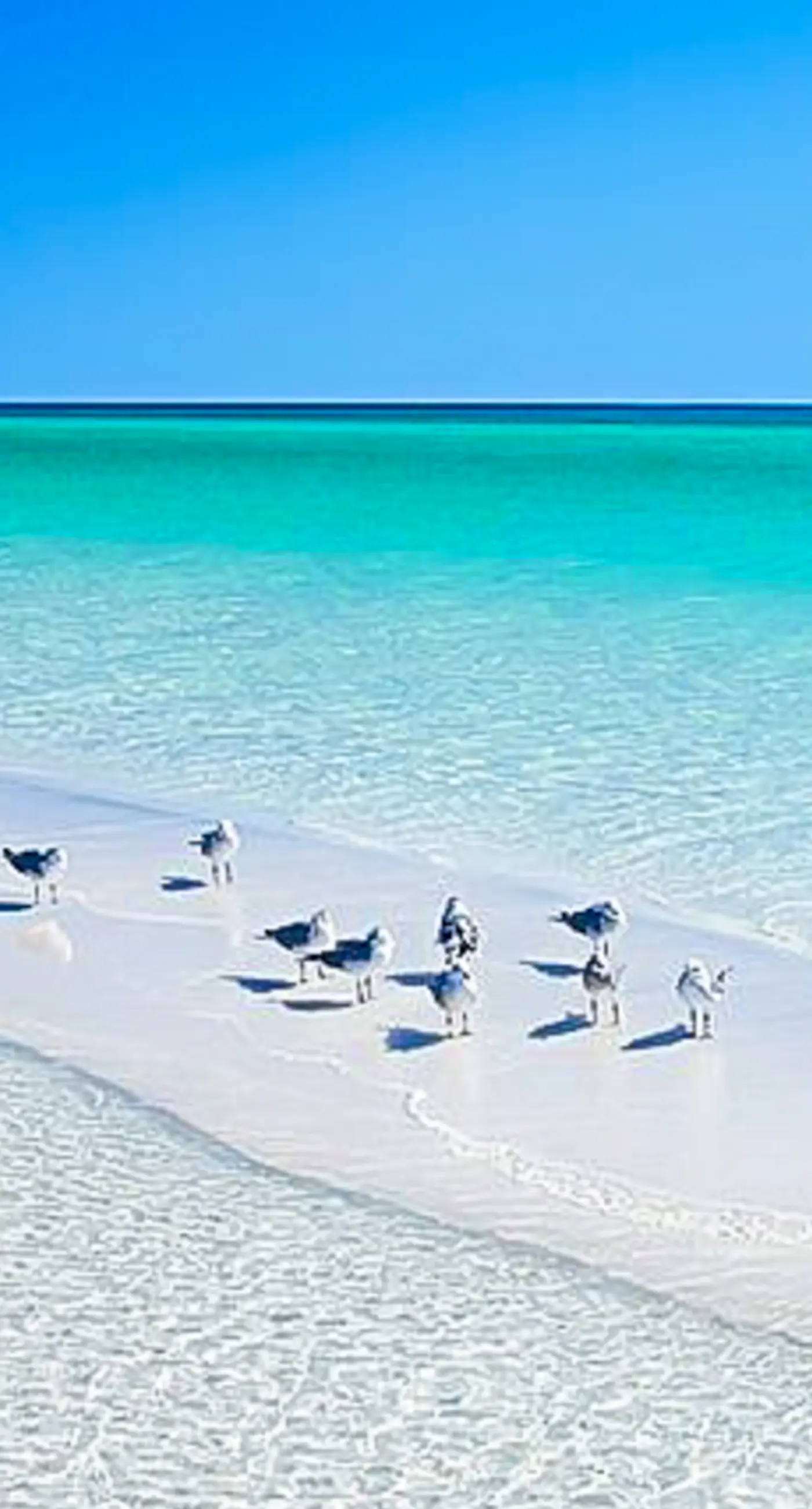 Dog-friendly coastal haven with 3 bikes, pool & easy beach access