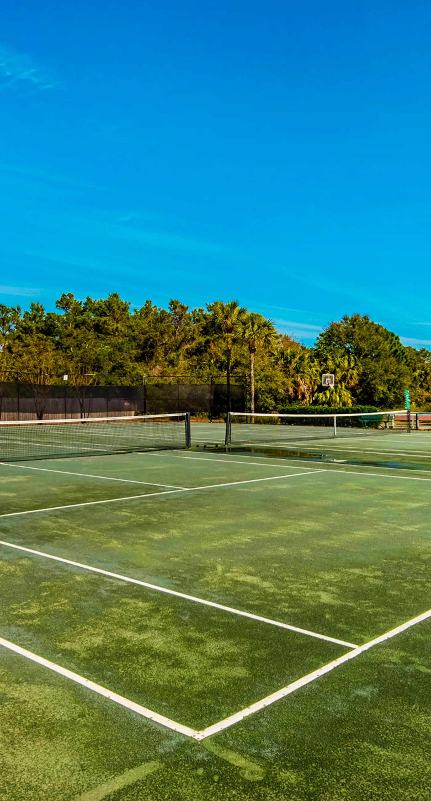 Sunny condo with lake views, outdoor pool, fast WiFi, tennis & central AC