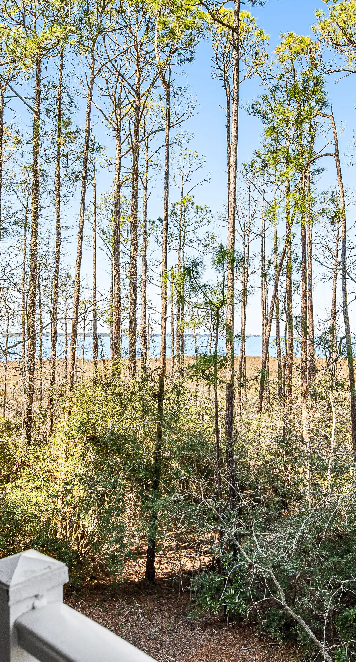 Spacious condo with bay views, renovated pool, hot tub, & beach access!