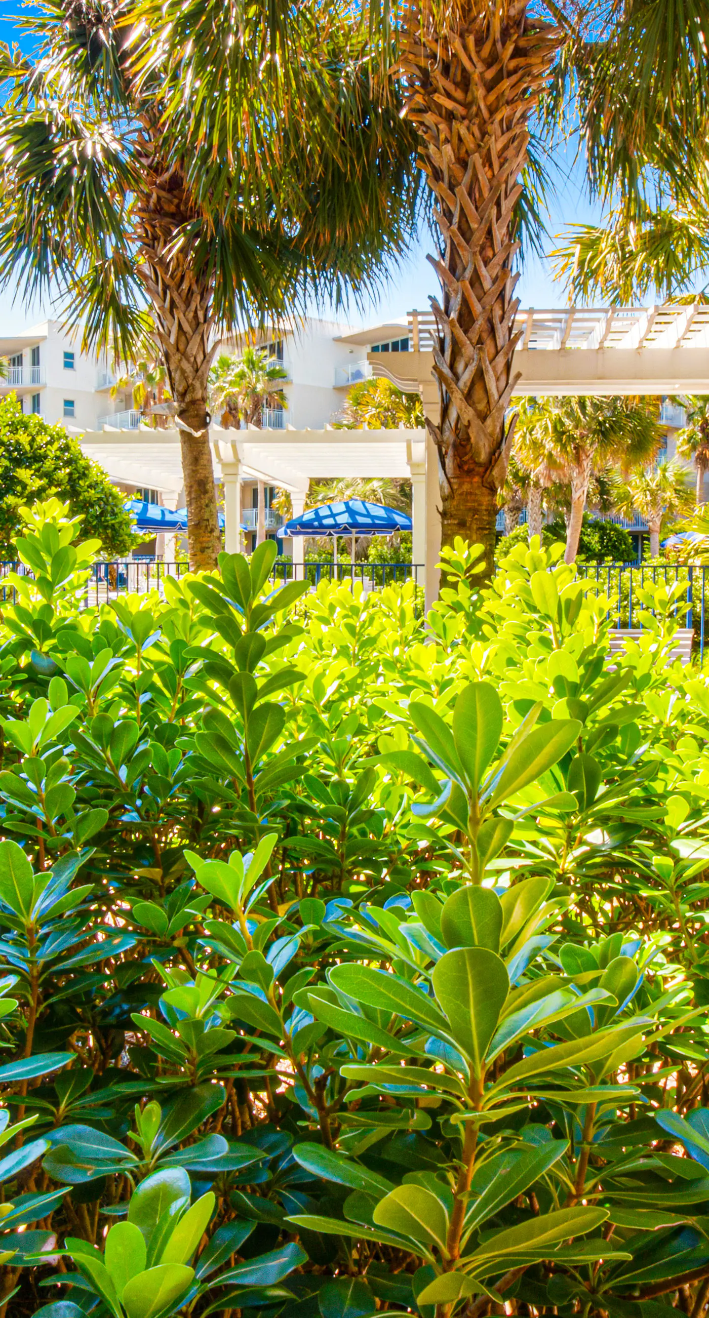 2nd Floor Cozy Condo At Waterscape 490 Feet Of Private Beach