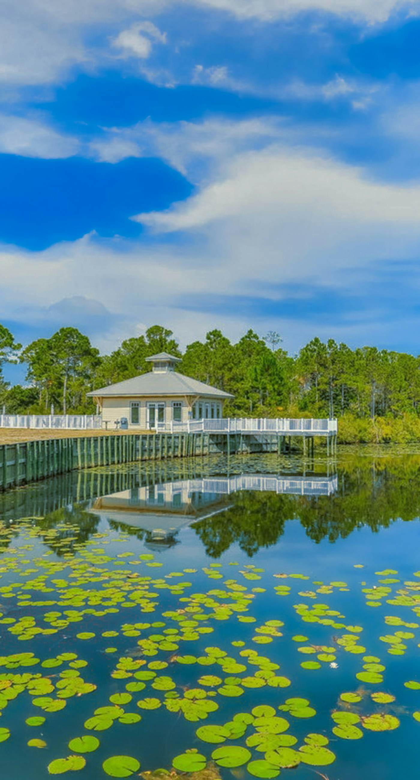 Updated Emerald Coast condo with pool, AC, & washer/dryer - walk to beach