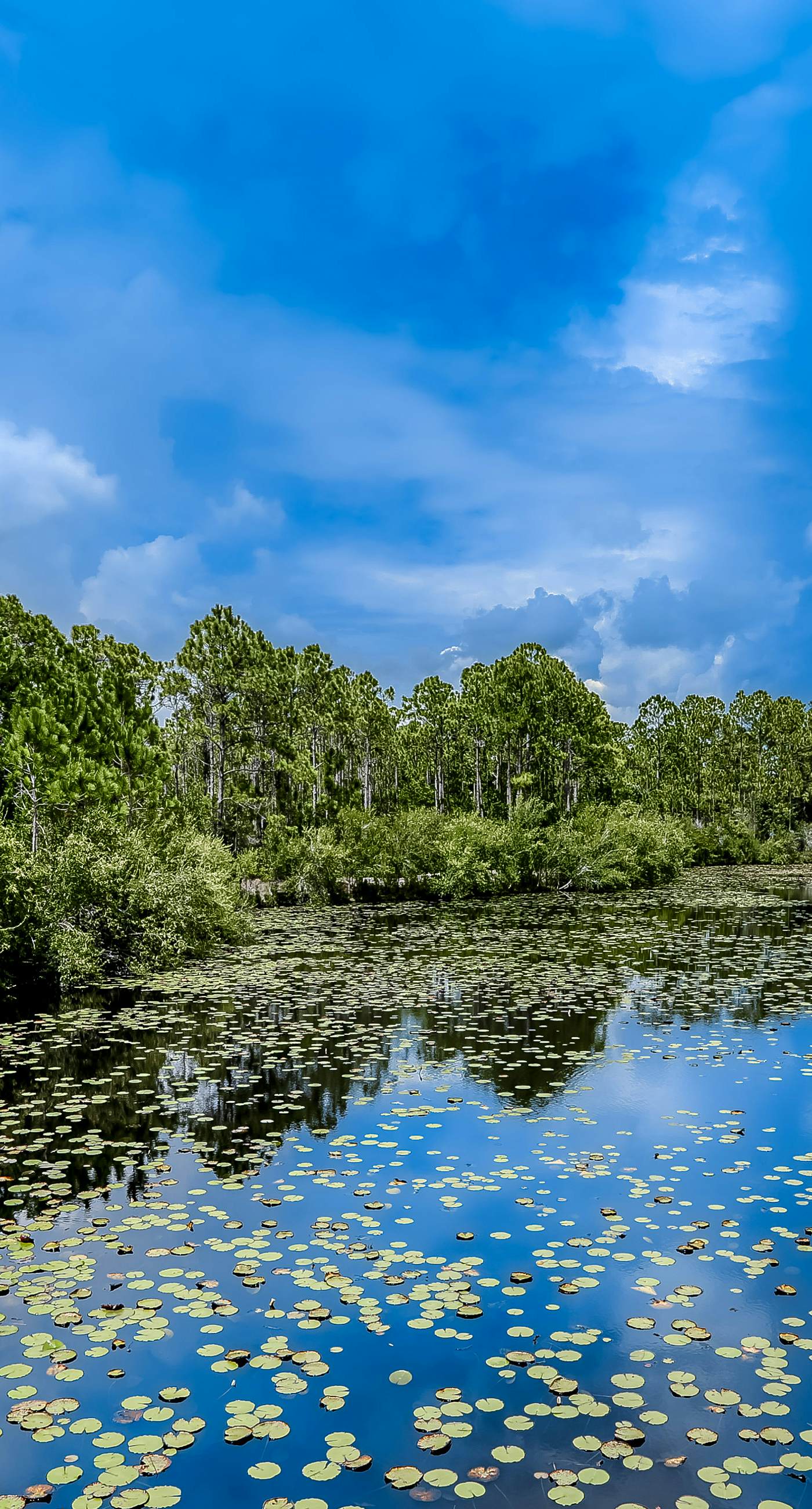 Updated Emerald Coast condo with pool, AC, & washer/dryer - walk to beach