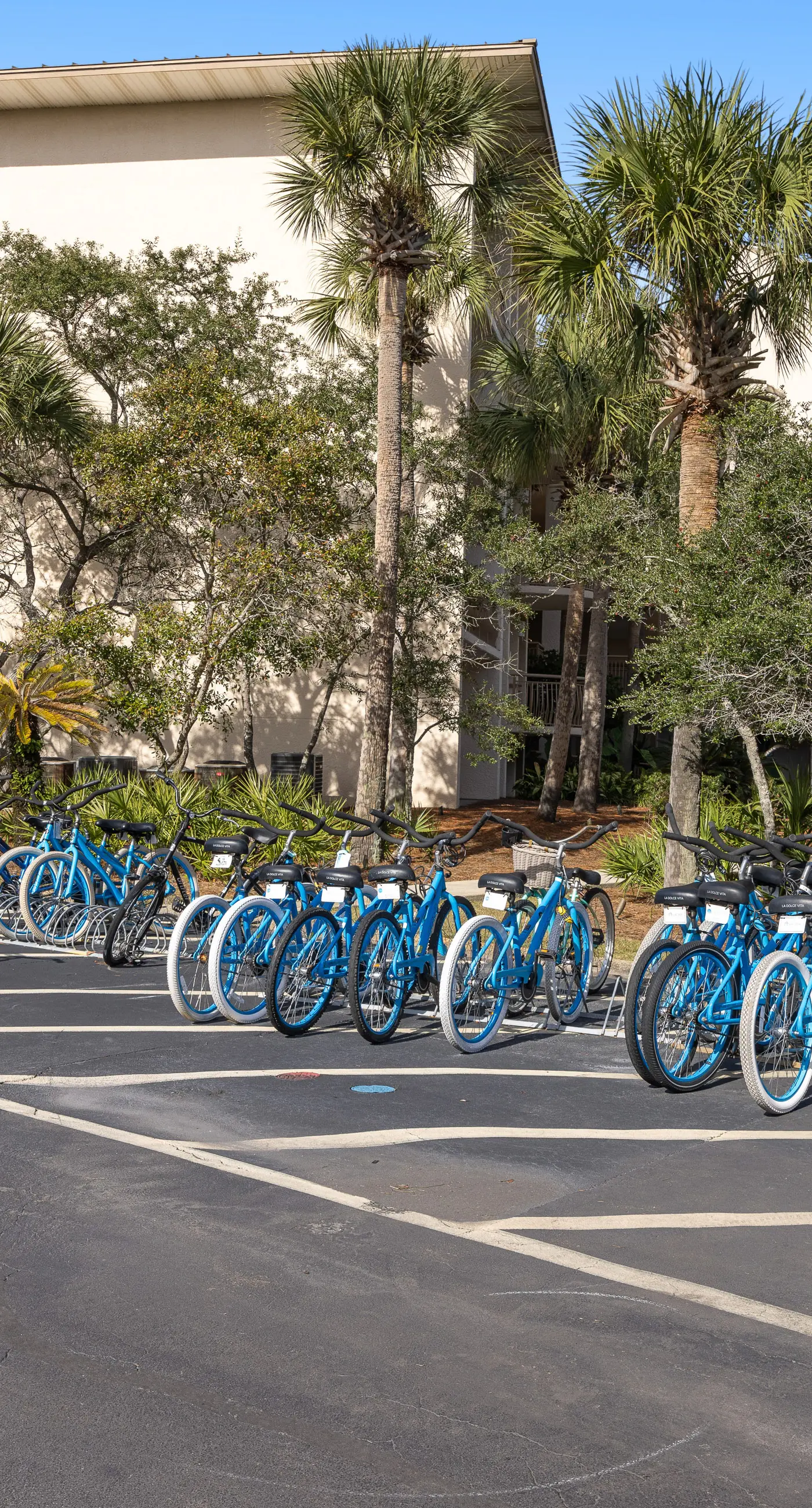 Luxuriously renovated condo with Gulf views, beach access, pool, & hot tub