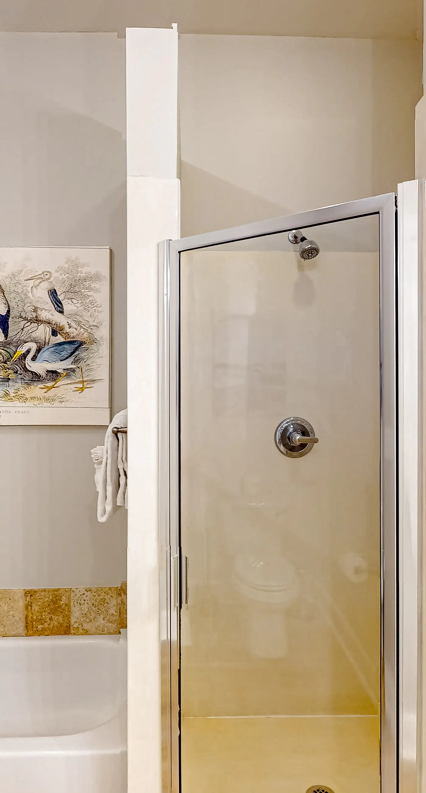 4th-floor condo near the beach with balcony, outdoor pool, elevator, W/D, & AC